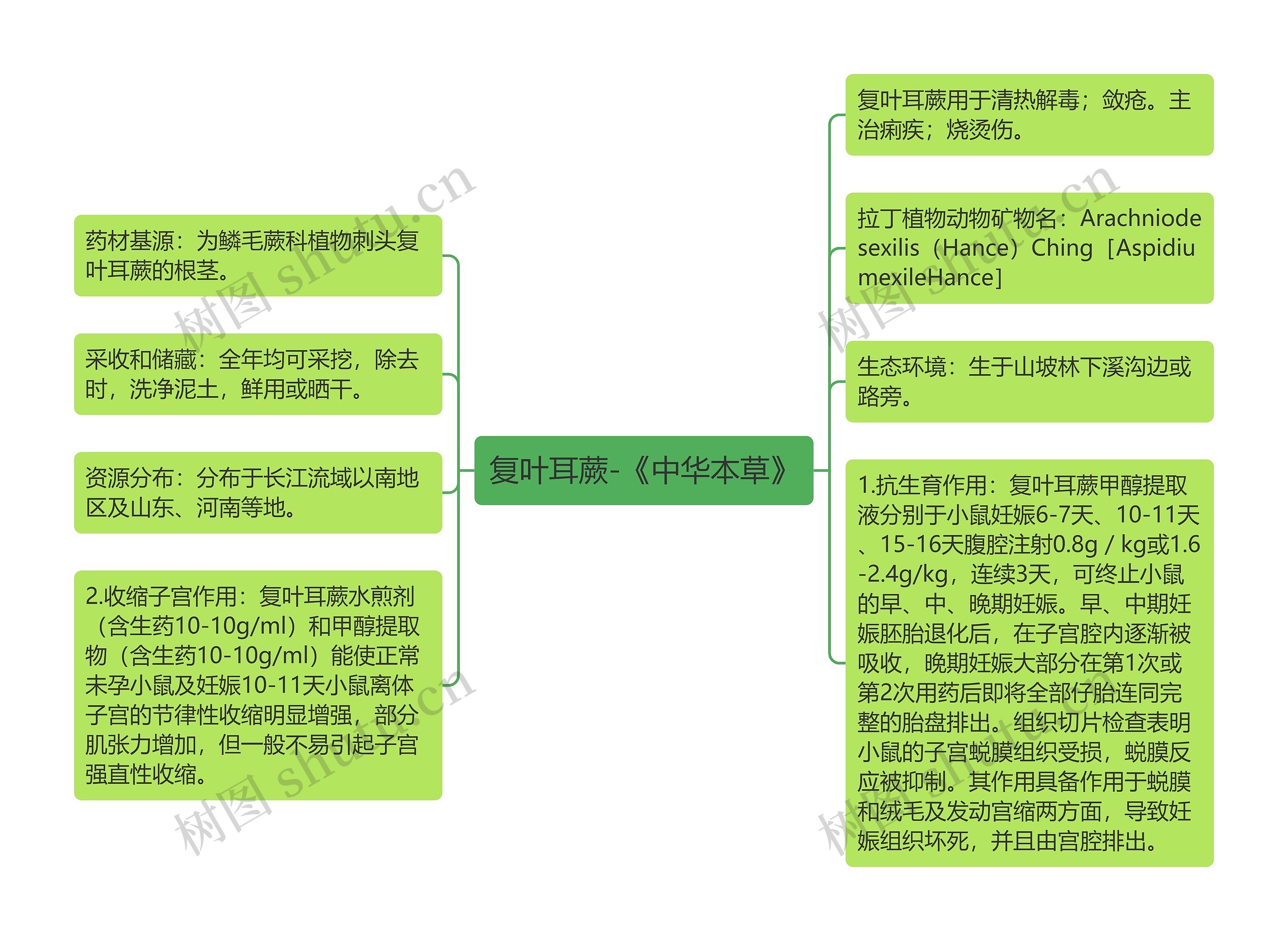 复叶耳蕨-《中华本草》思维导图