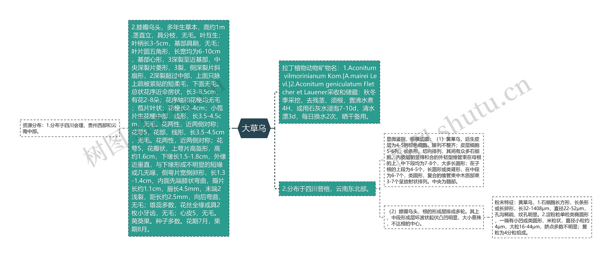 大草乌思维导图