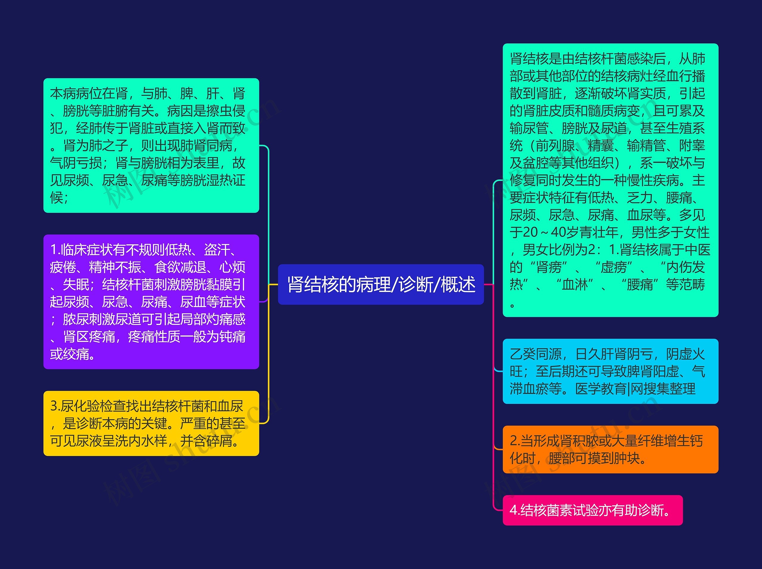 肾结核的病理/诊断/概述 肾结核的病理/诊断/概述