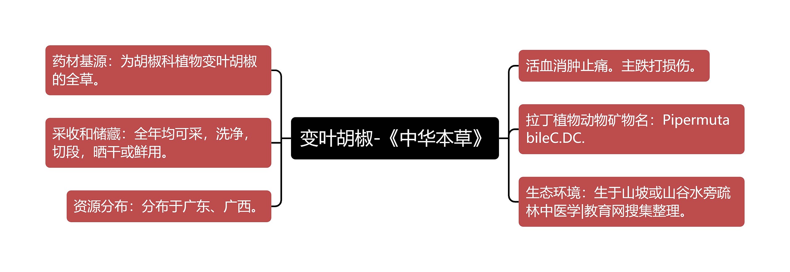 变叶胡椒-《中华本草》思维导图