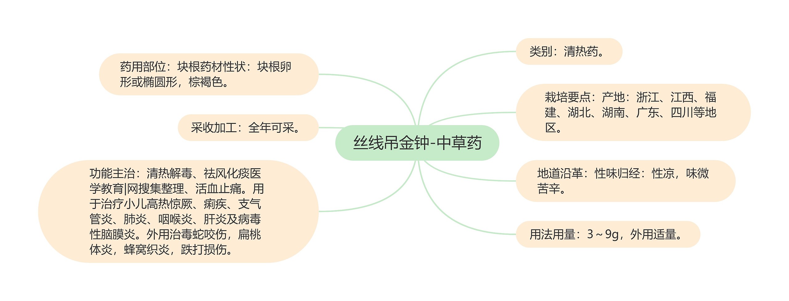 丝线吊金钟-中草药思维导图