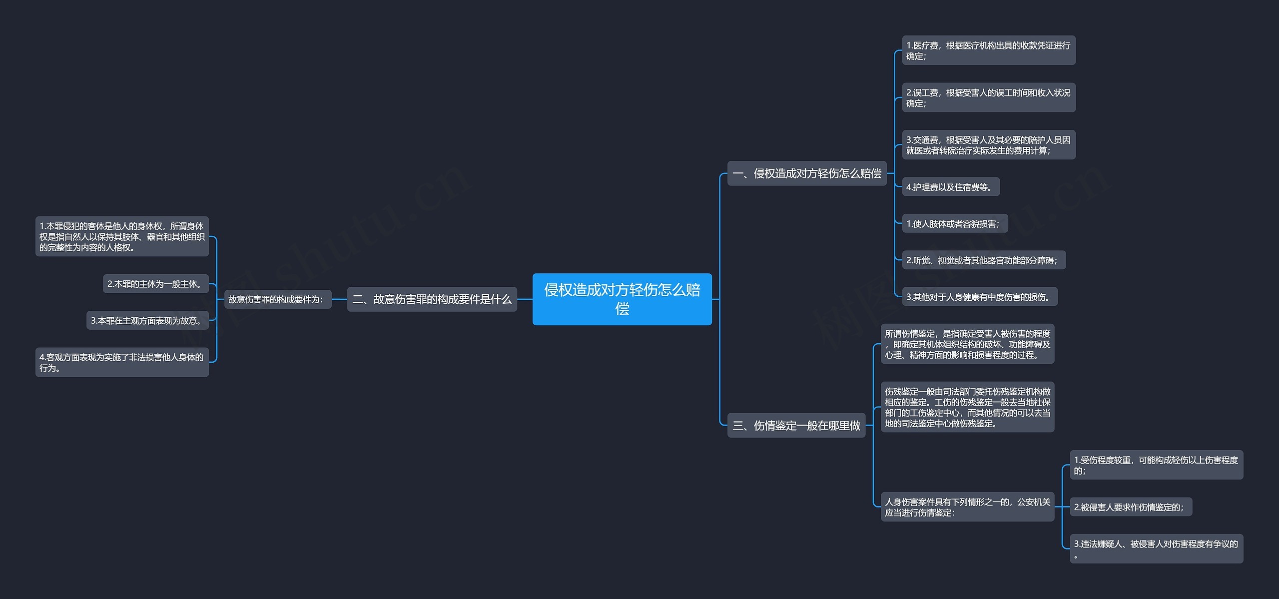 侵权造成对方轻伤怎么赔偿思维导图