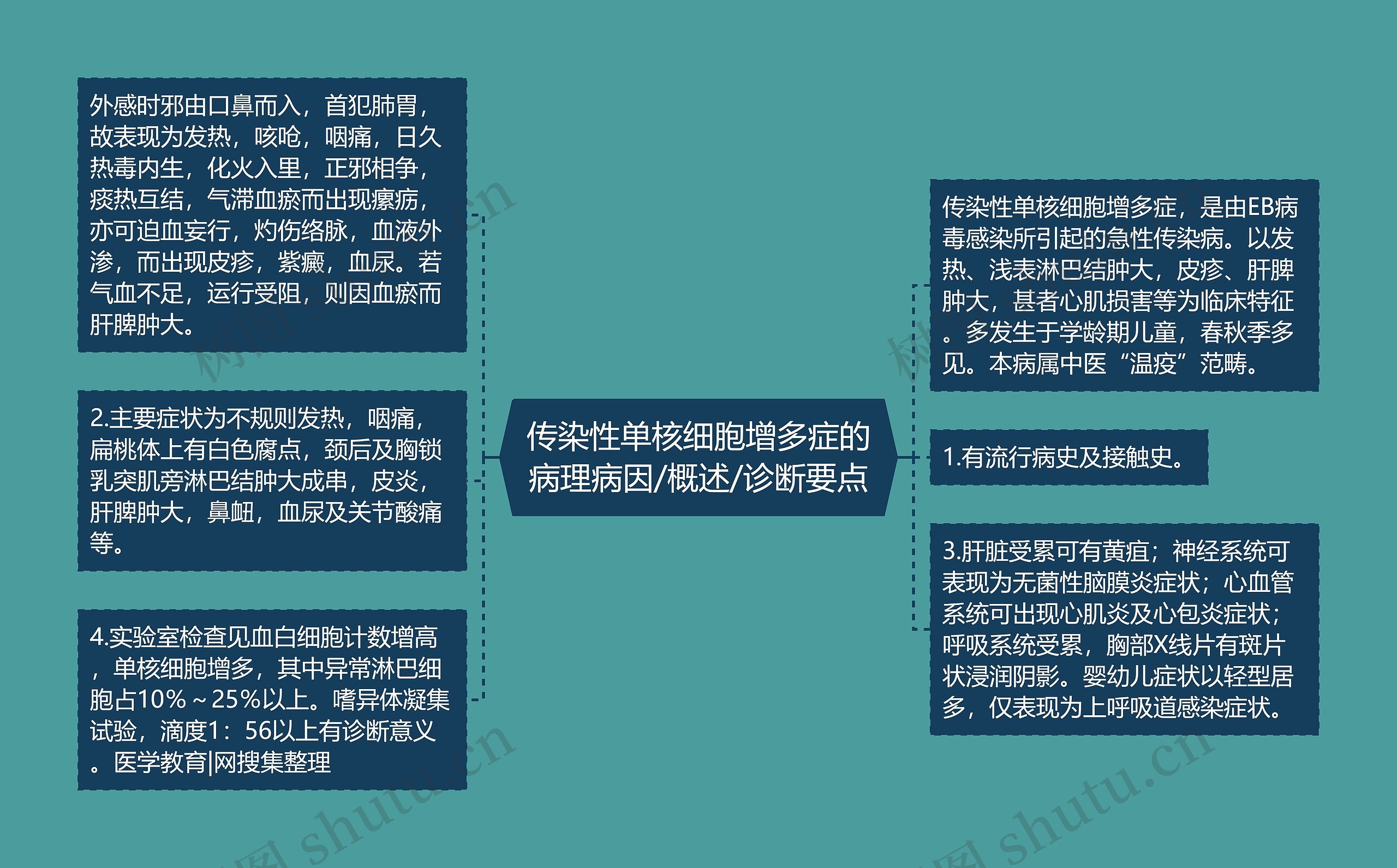 传染性单核细胞增多症的病理病因/概述/诊断要点思维导图