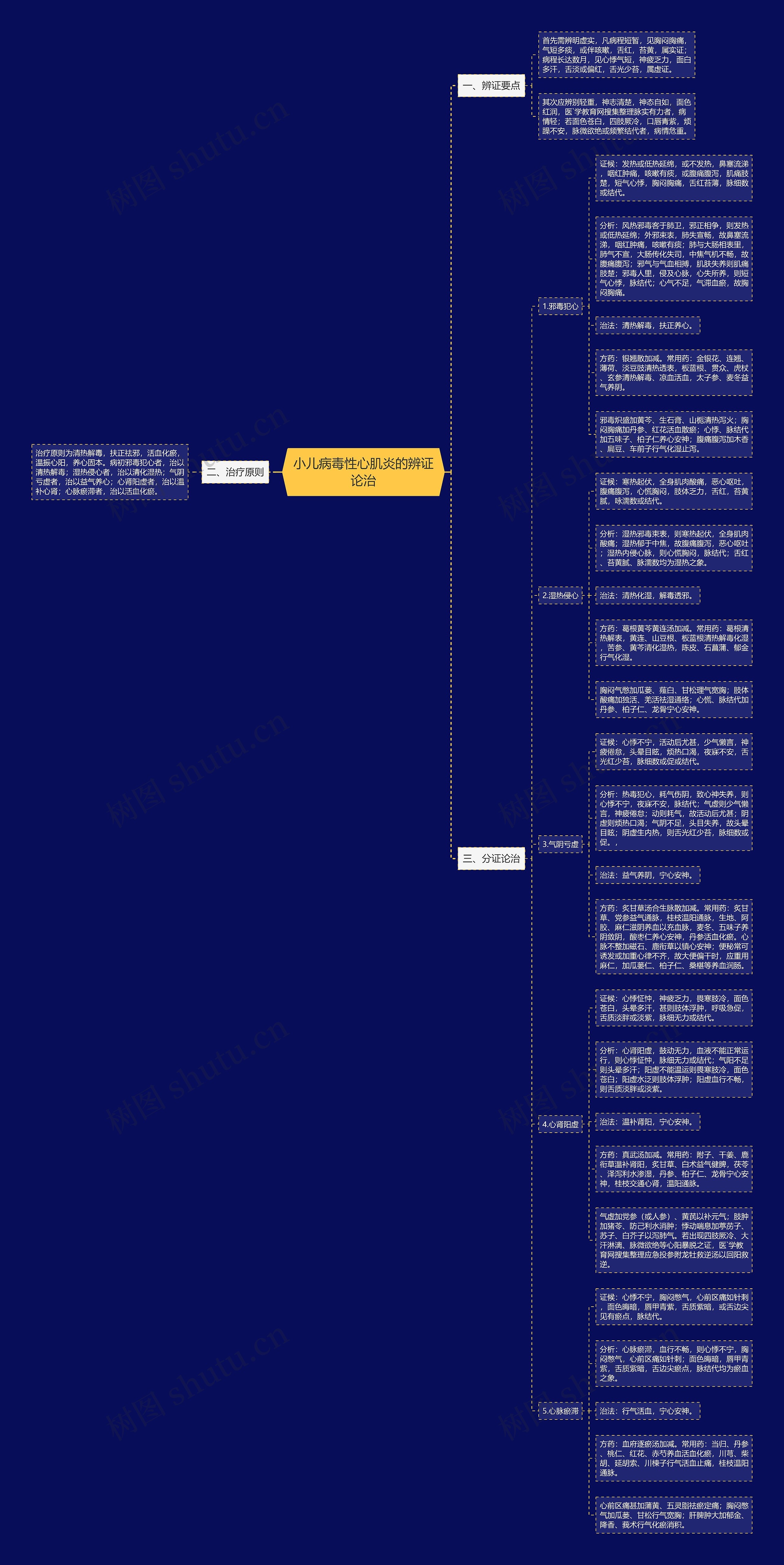 小儿病毒性心肌炎的辨证论治思维导图