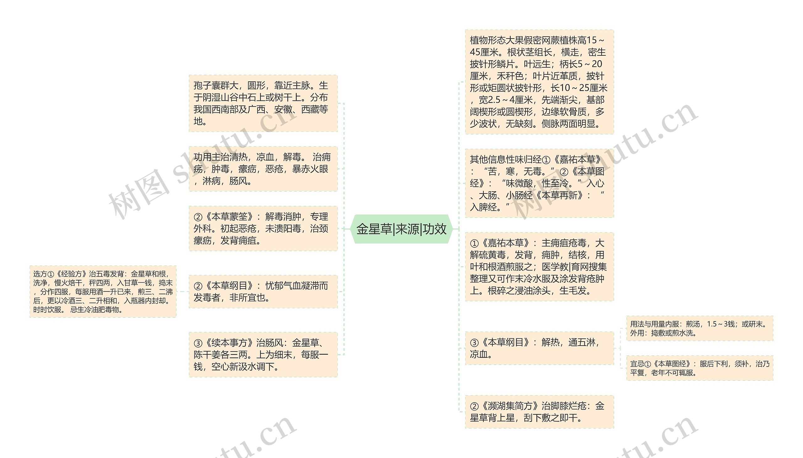 金星草|来源|功效思维导图