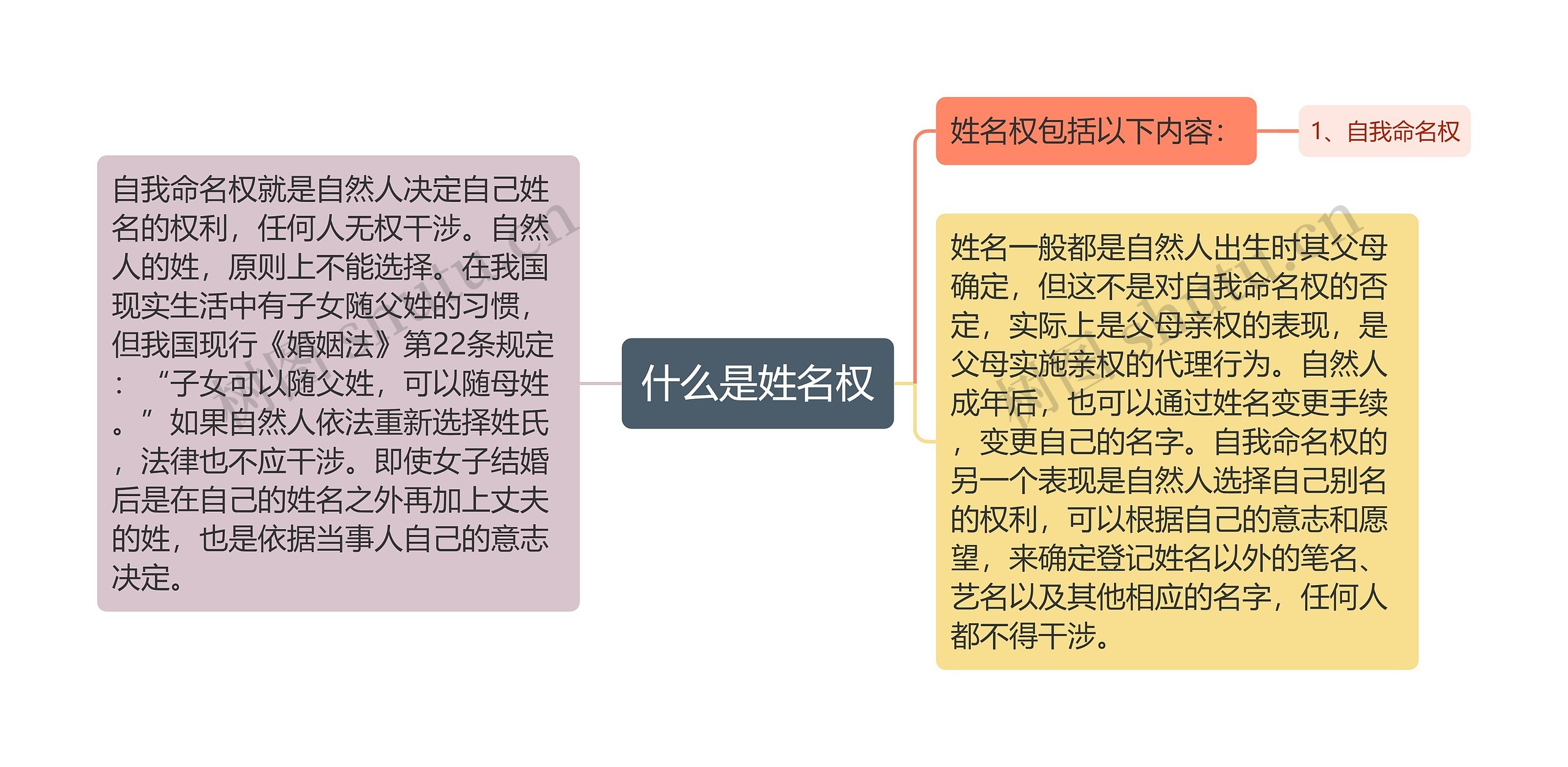 什么是姓名权思维导图