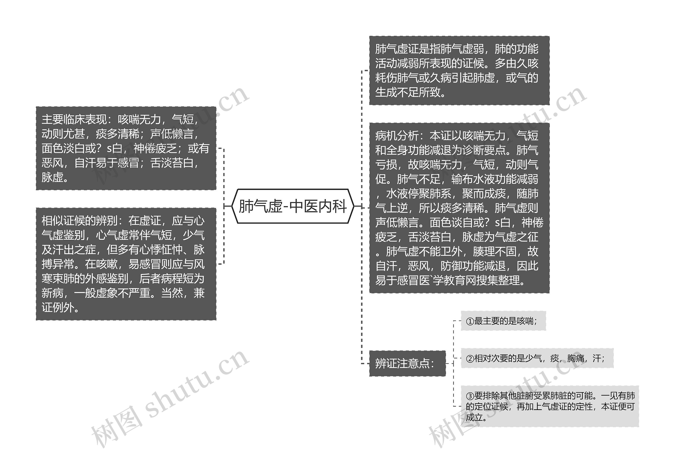 肺气虚-中医内科思维导图