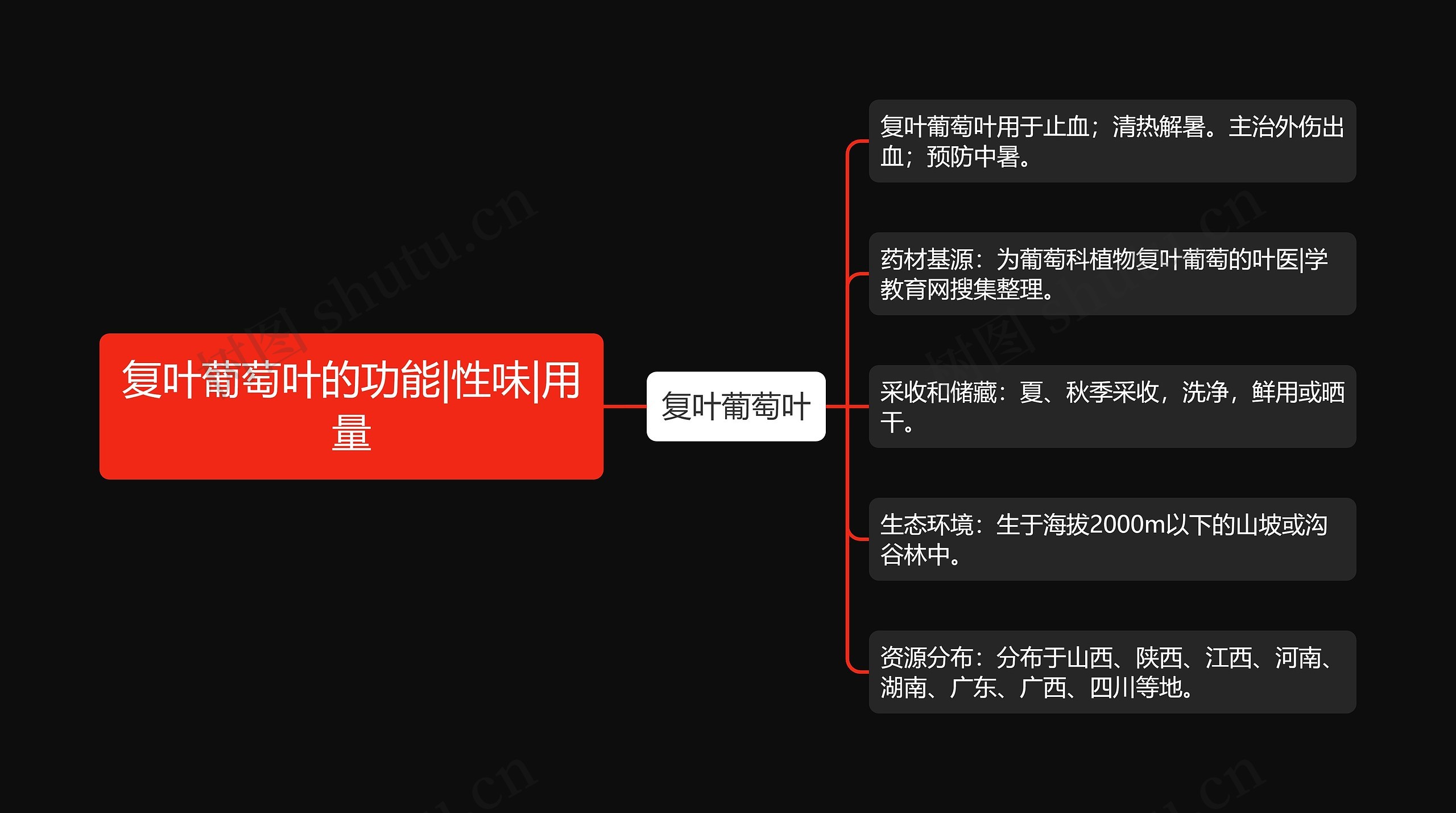 复叶葡萄叶的功能|性味|用量