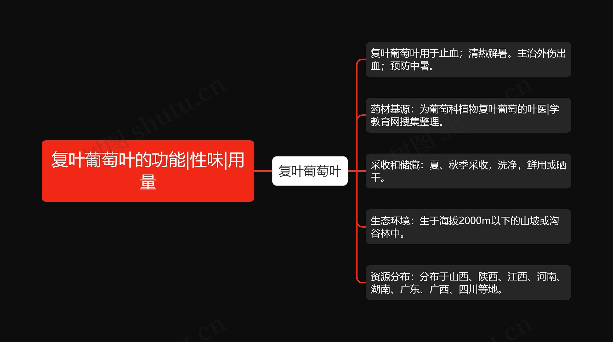复叶葡萄叶的功能|性味|用量思维导图