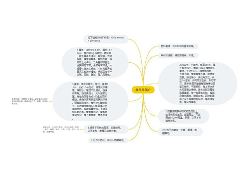 盘羊角简介