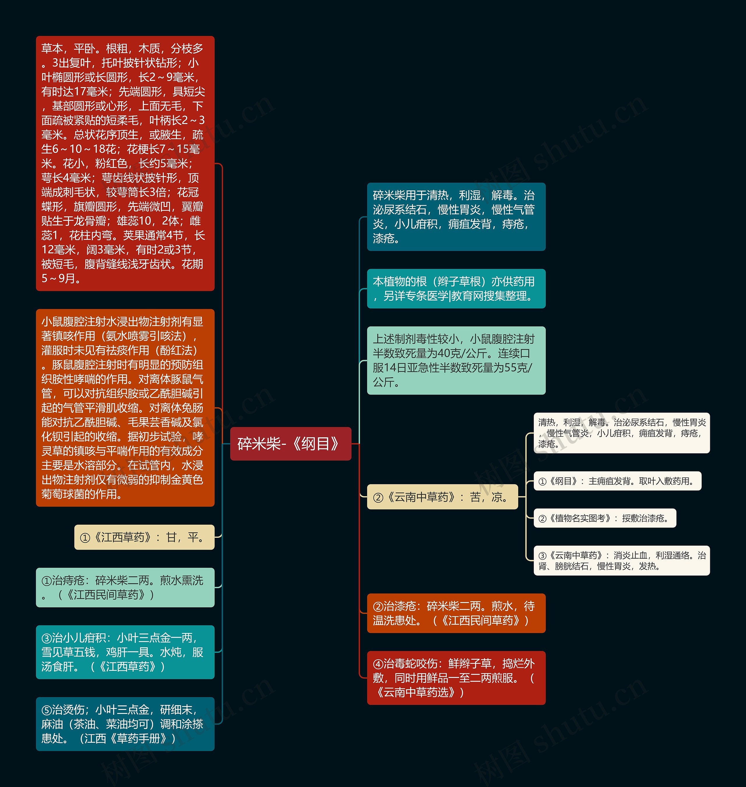 碎米柴-《纲目》思维导图