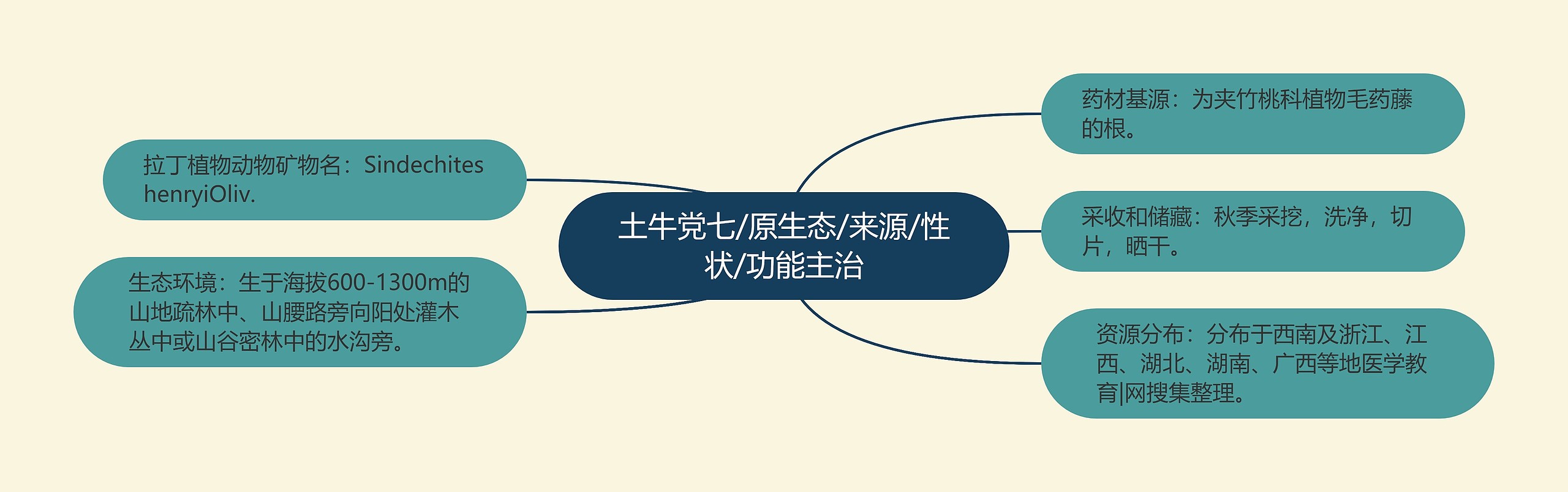 土牛党七/原生态/来源/性状/功能主治