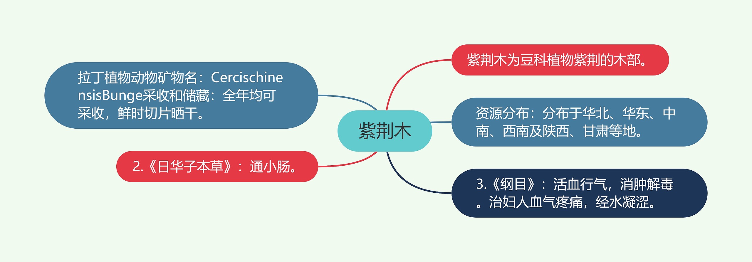 紫荆木思维导图