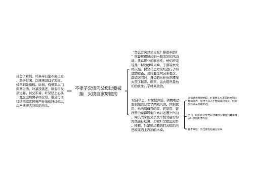 不孝子欠债向父母讨要被拒　火烧自家房被拘