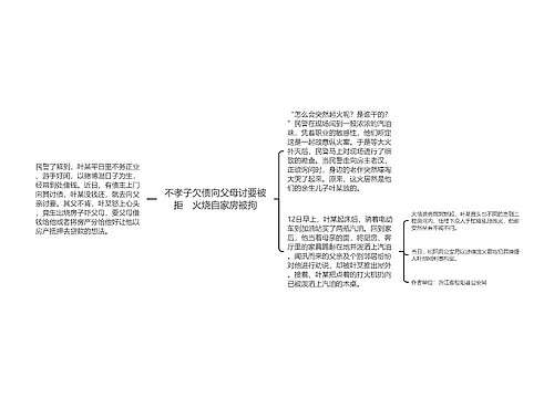 不孝子欠债向父母讨要被拒　火烧自家房被拘