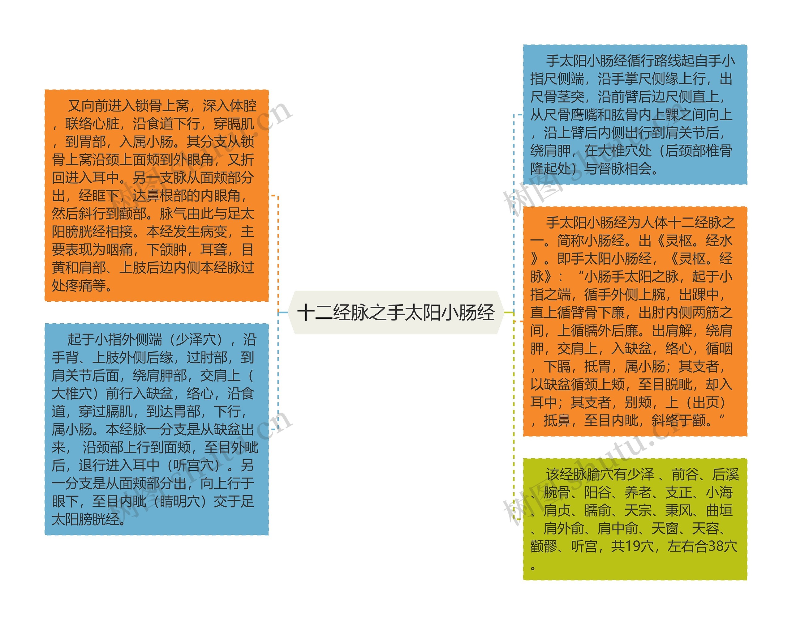 十二经脉之手太阳小肠经思维导图