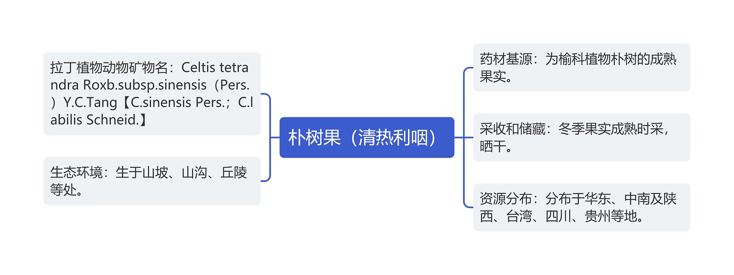 朴树果（清热利咽）