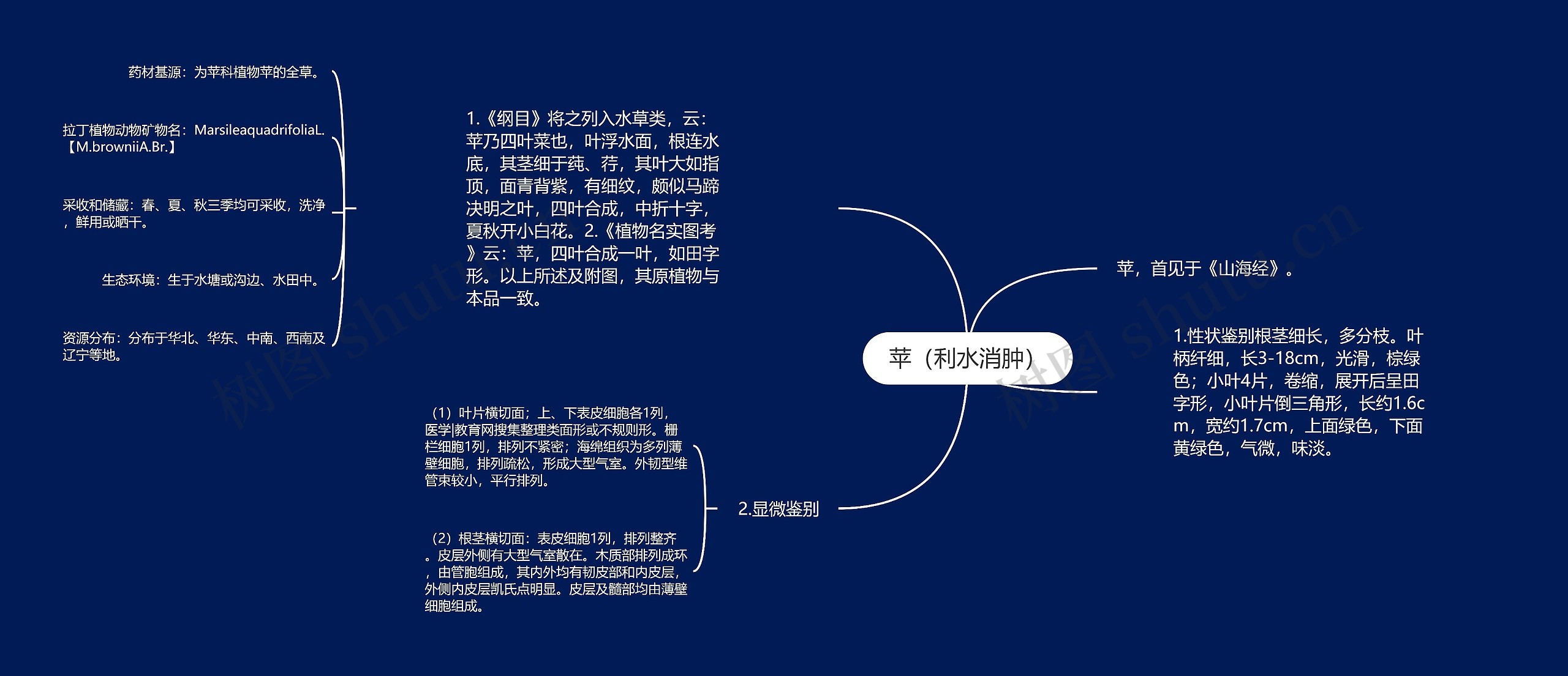 苹（利水消肿）思维导图