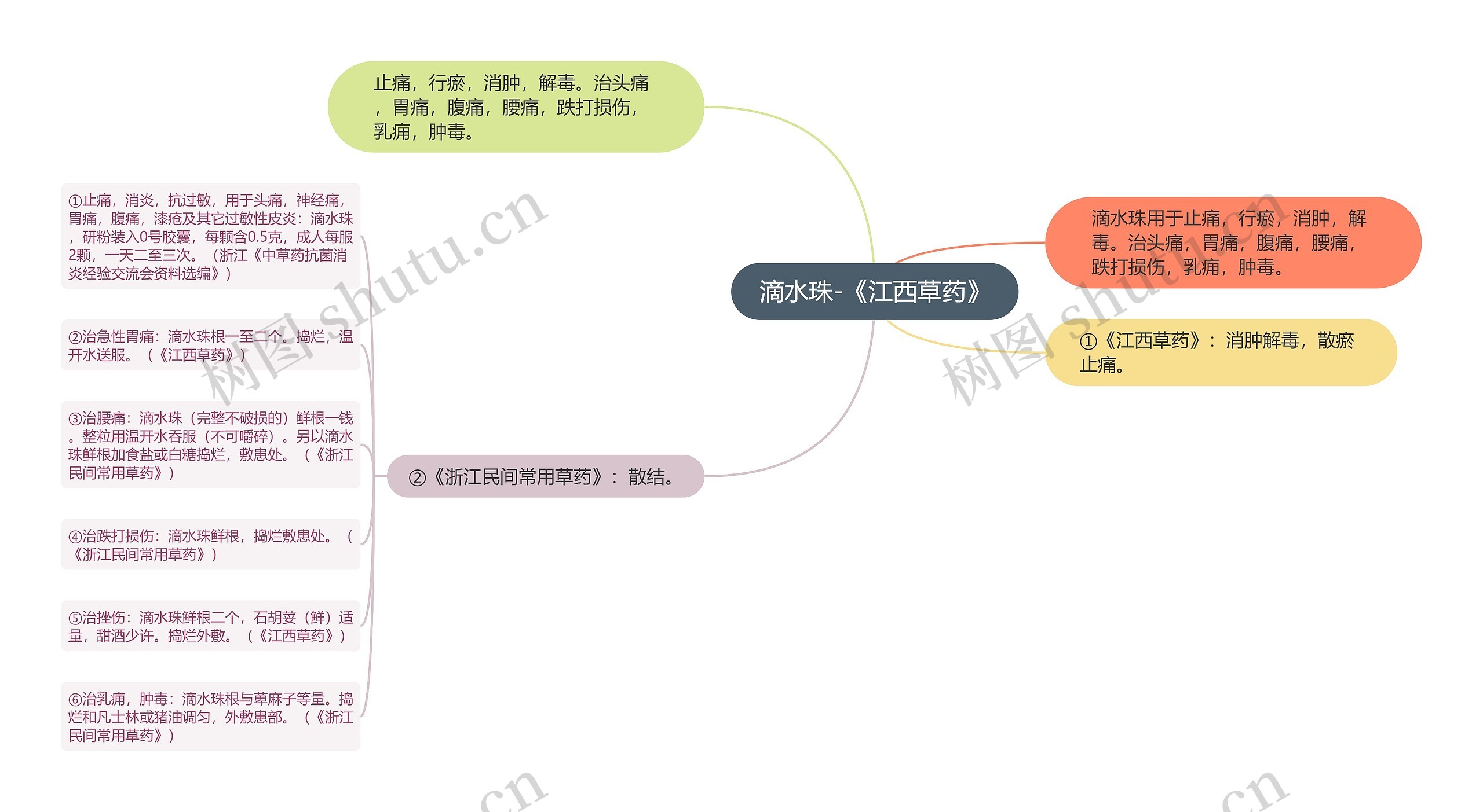 滴水珠-《江西草药》