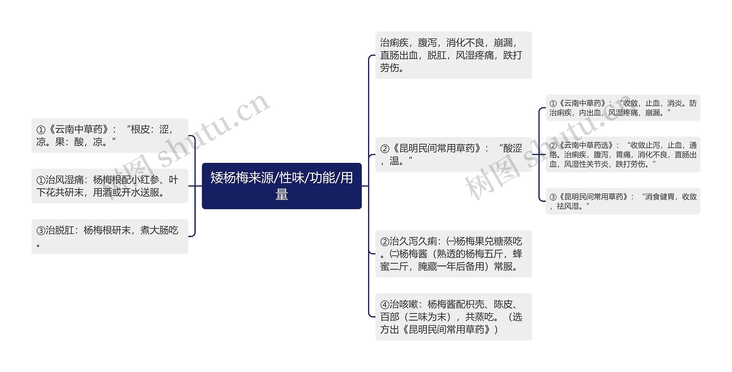 矮杨梅来源/性味/功能/用量思维导图