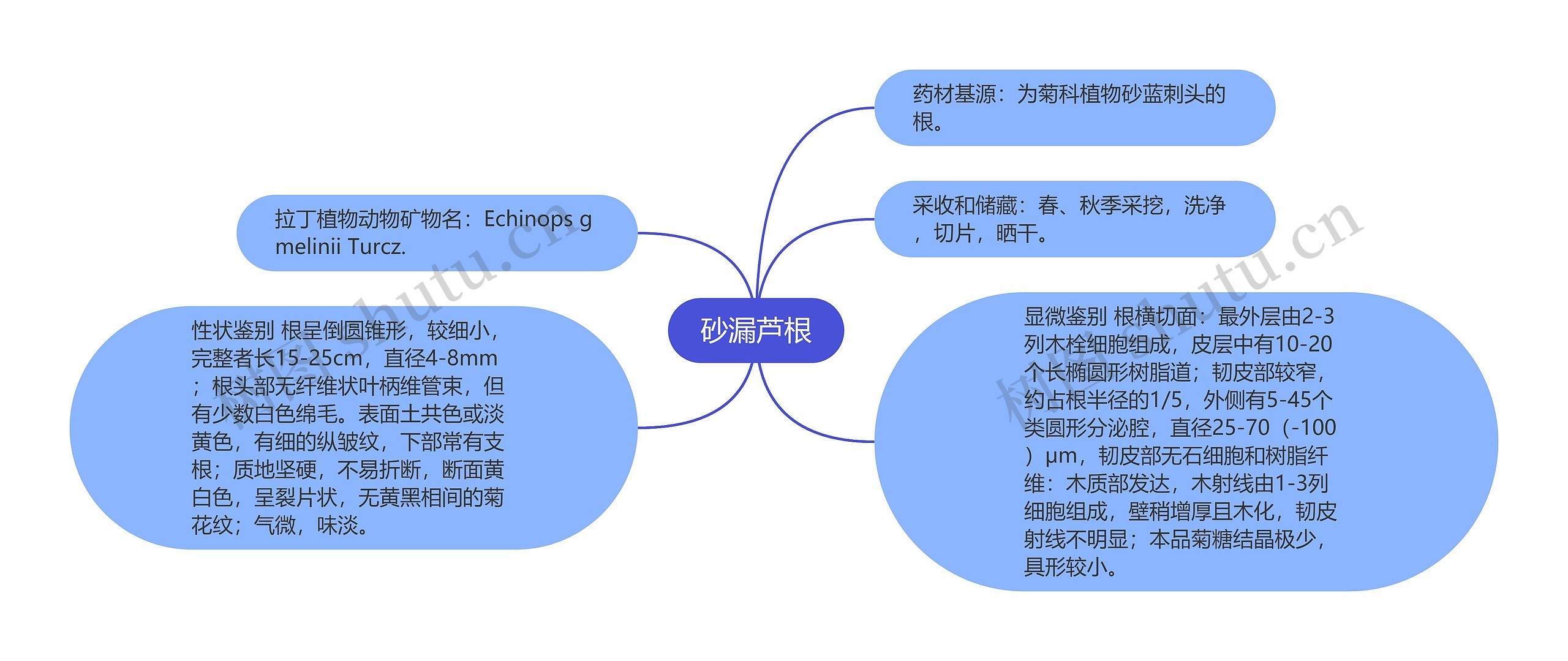 砂漏芦根思维导图