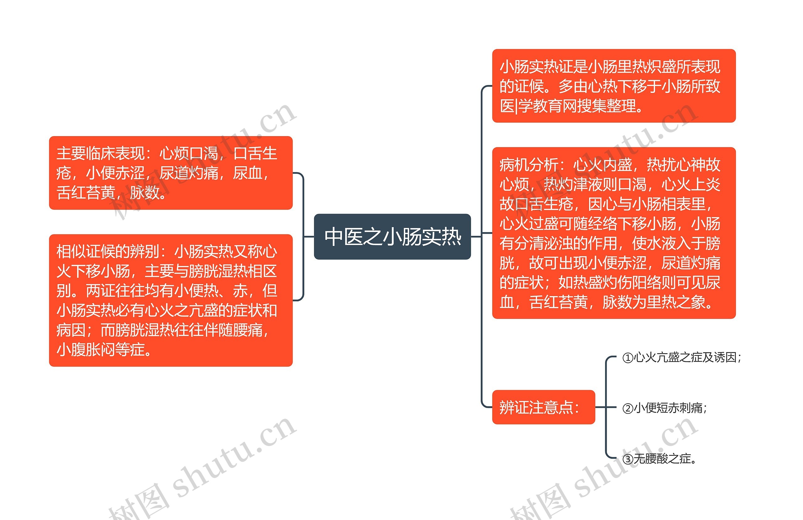 中医之小肠实热思维导图