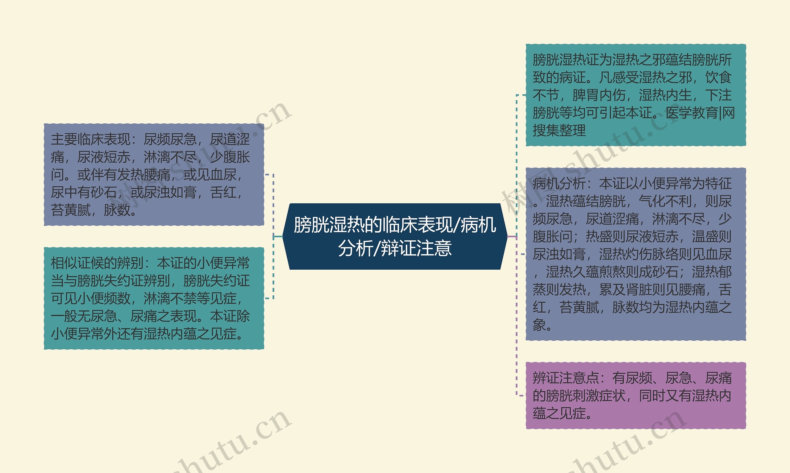 膀胱湿热的临床表现/病机分析/辩证注意思维导图