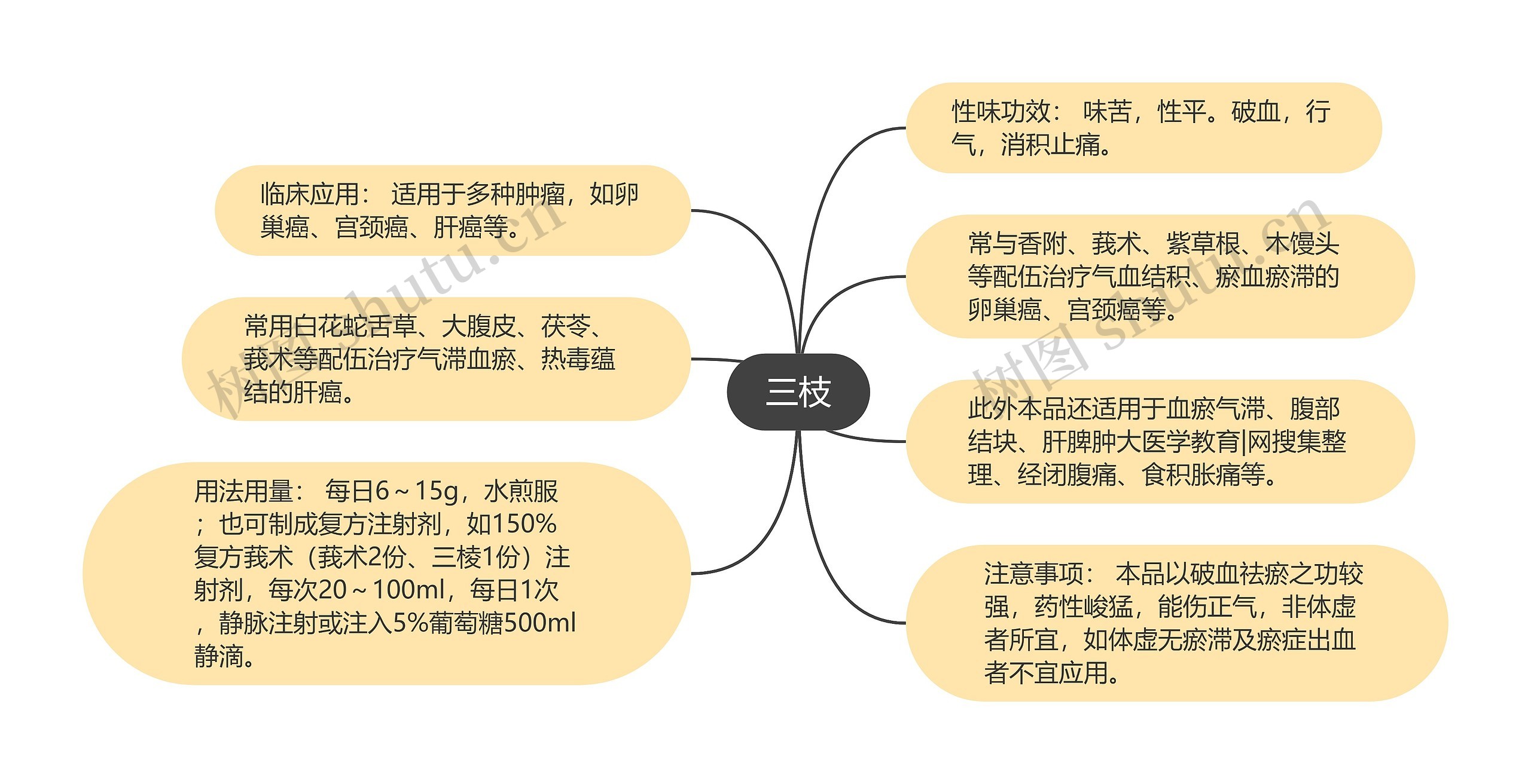 三枝思维导图