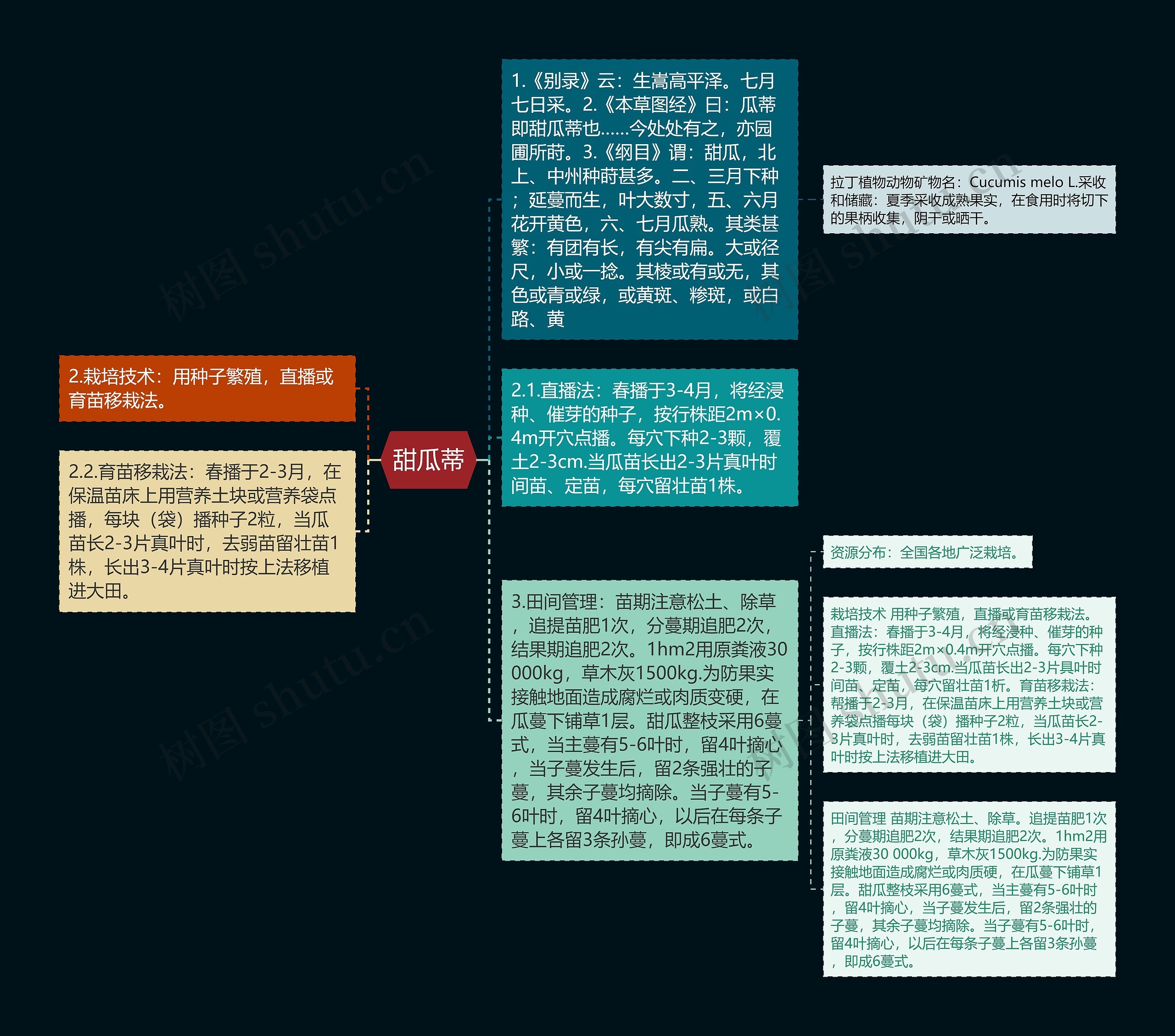 甜瓜蒂思维导图