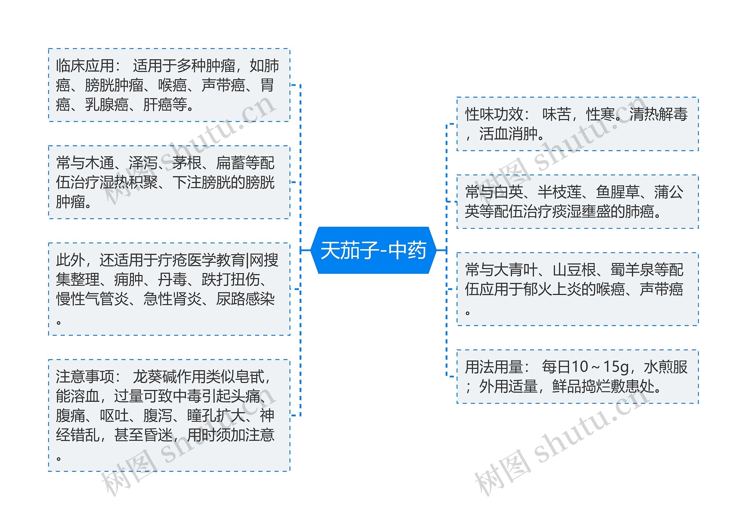 天茄子-中药思维导图