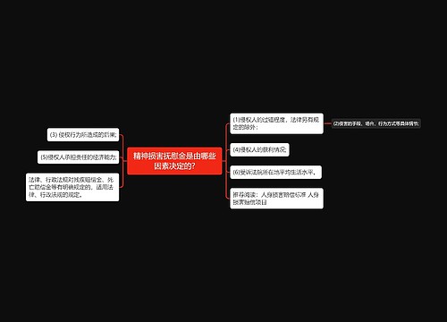 精神损害抚慰金是由哪些因素决定的?