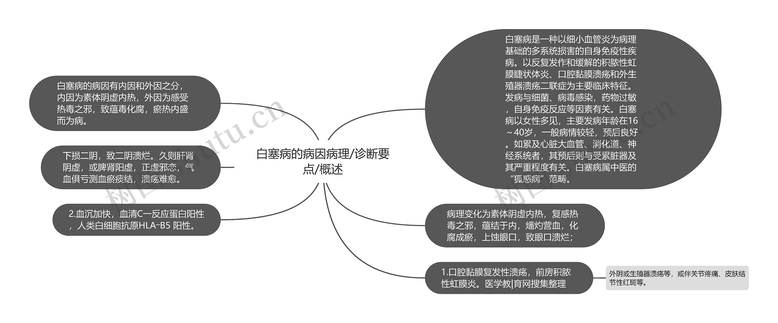 白塞病的病因病理/诊断要点/概述