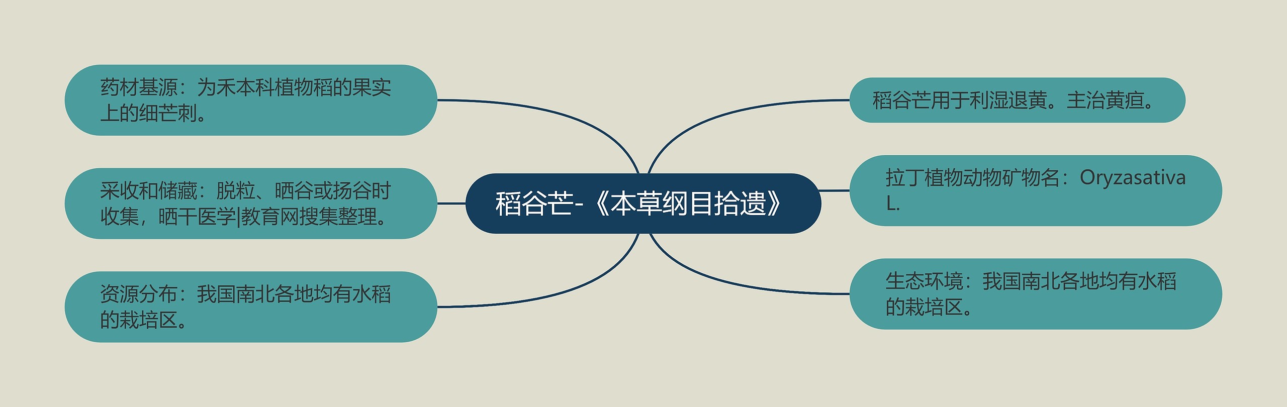 稻谷芒-《本草纲目拾遗》 稻谷芒-《本草纲目拾遗》