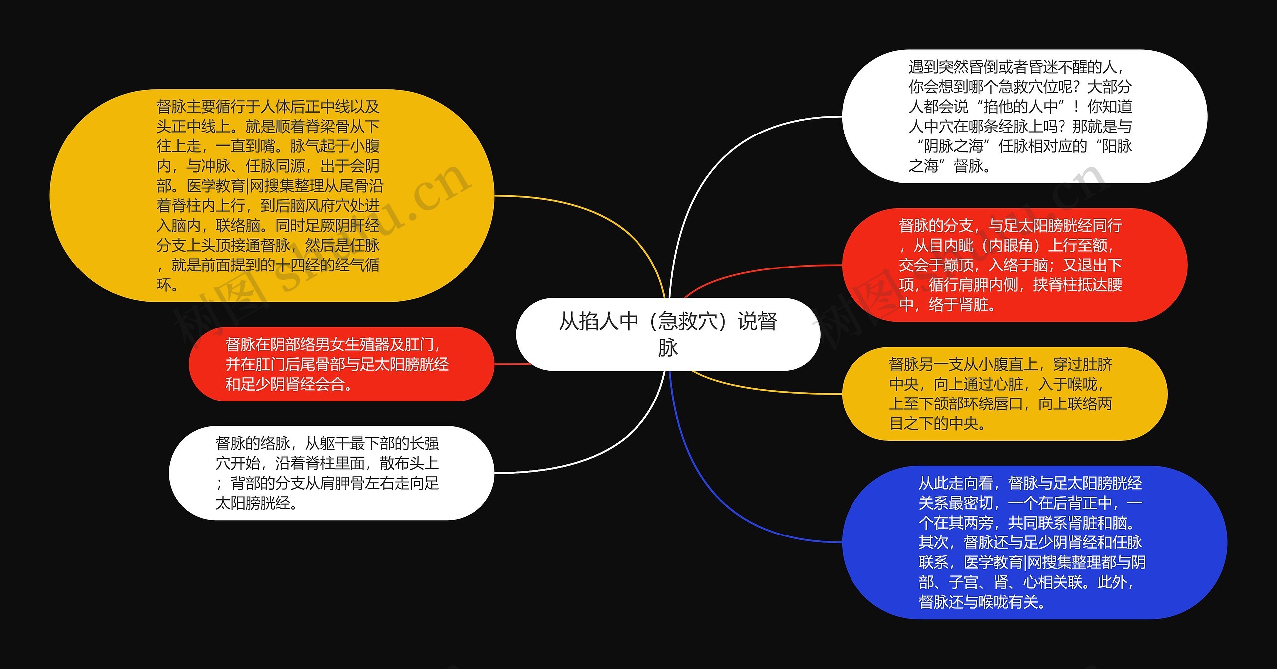 从掐人中（急救穴）说督脉思维导图