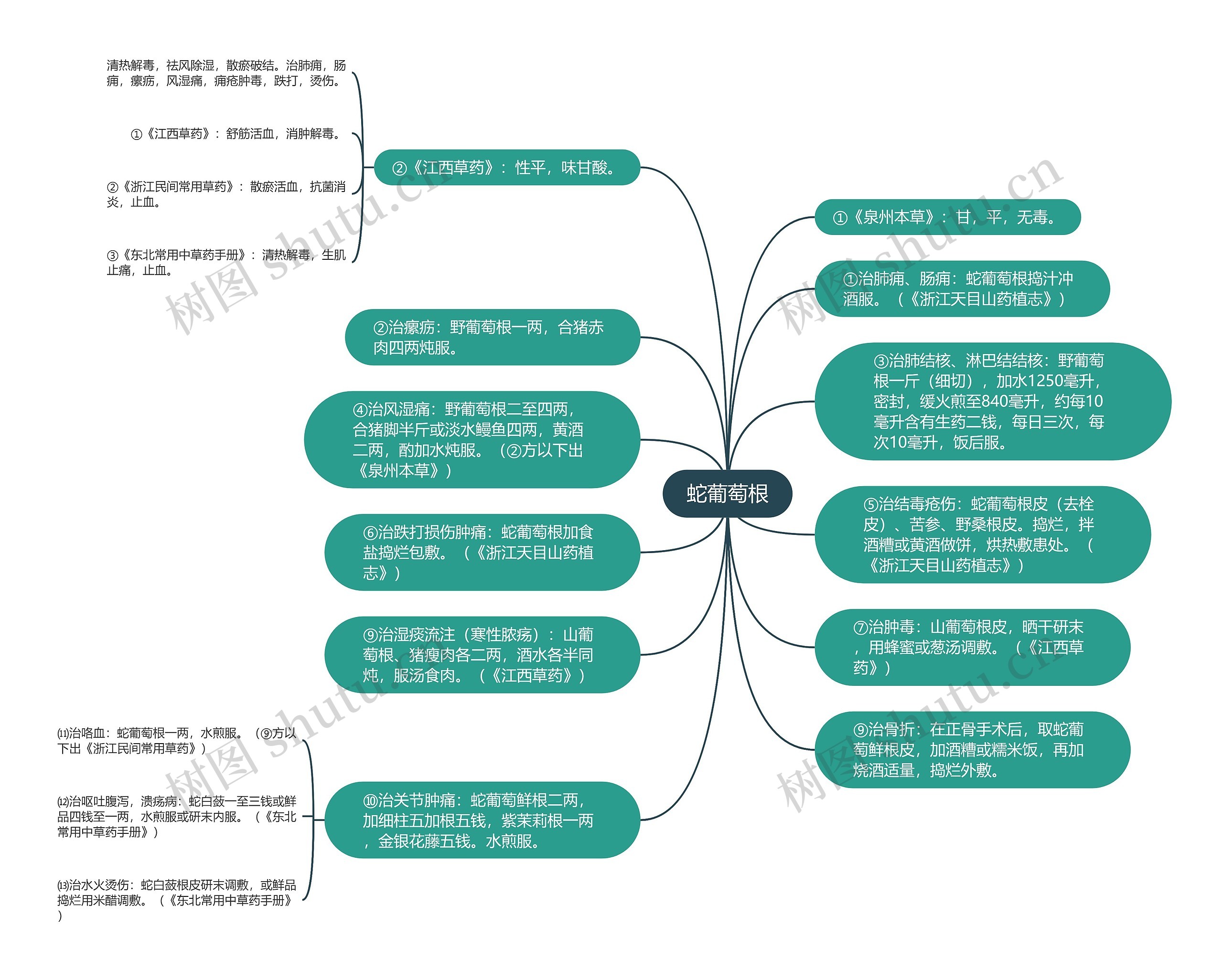 蛇葡萄根思维导图