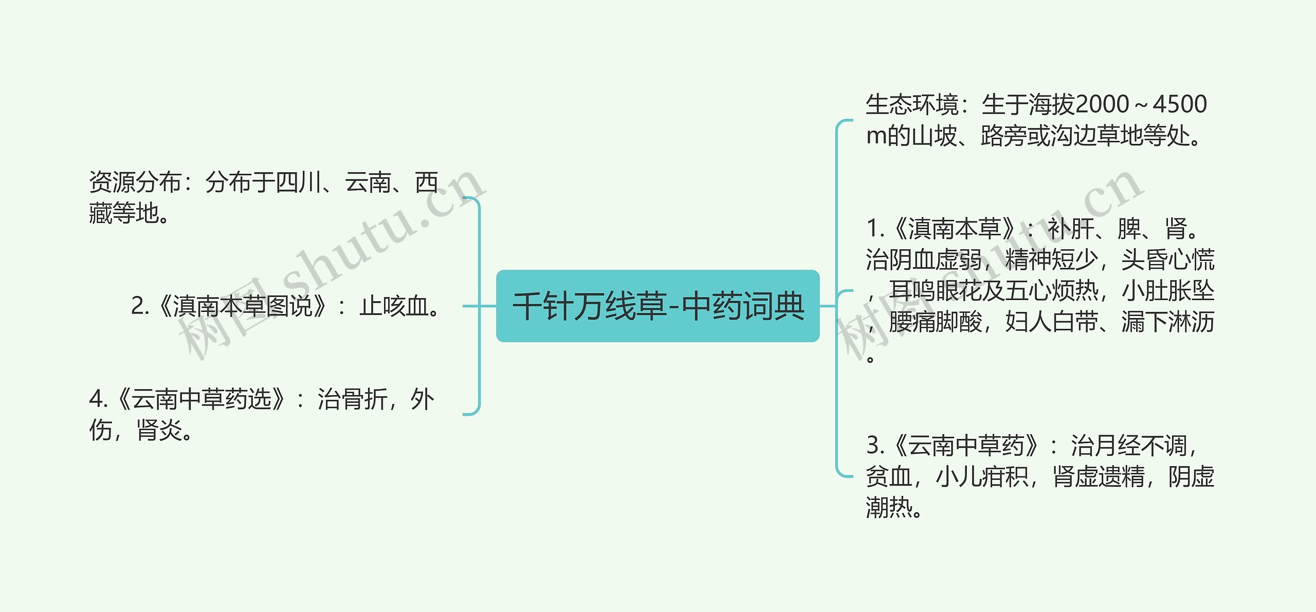 千针万线草-中药词典
