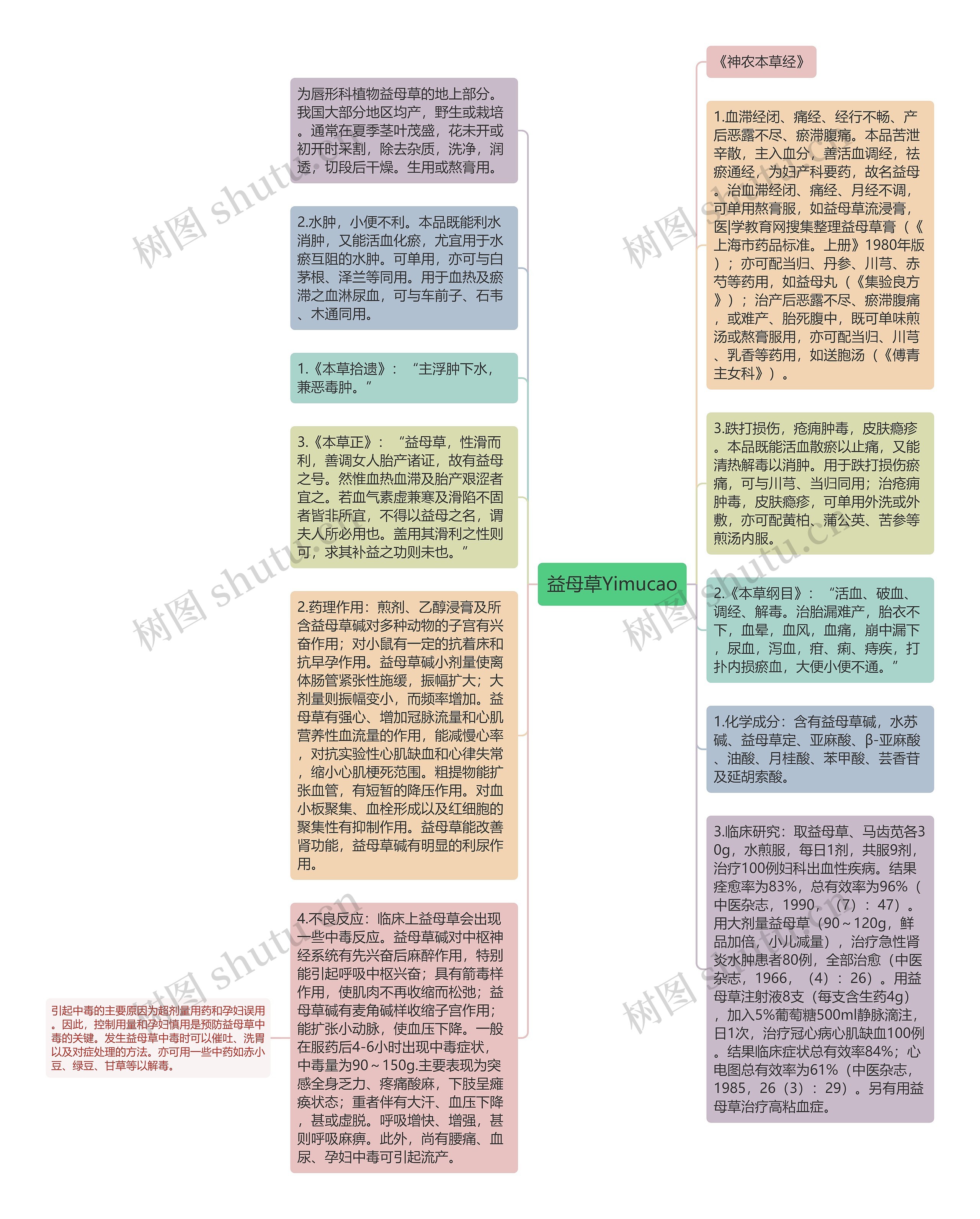 益母草Yimucao思维导图