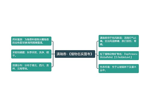 滇瑞香-《植物名实图考》