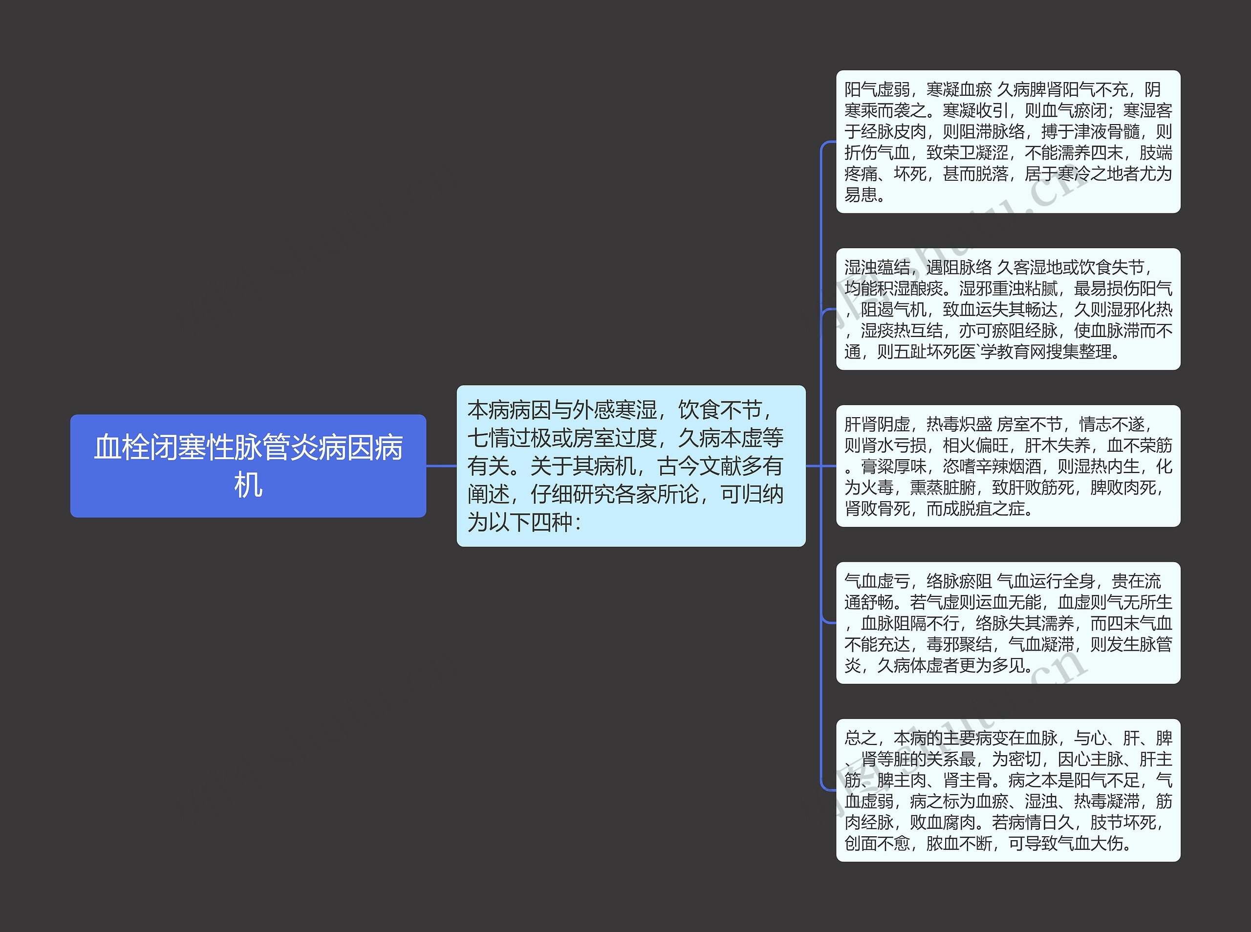 血栓闭塞性脉管炎病因病机思维导图