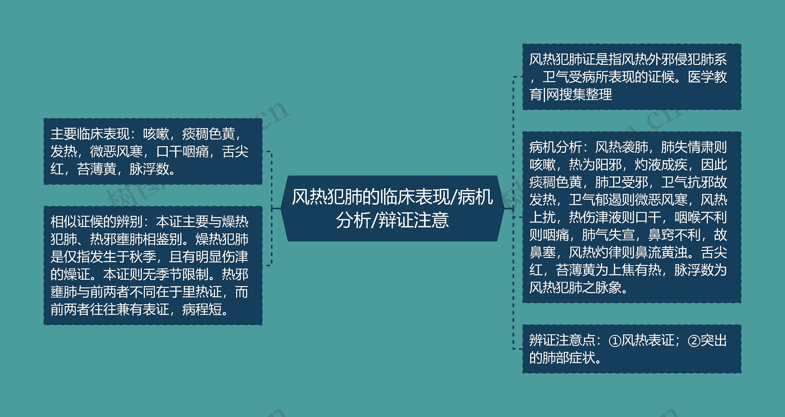 风热犯肺的临床表现/病机分析/辩证注意