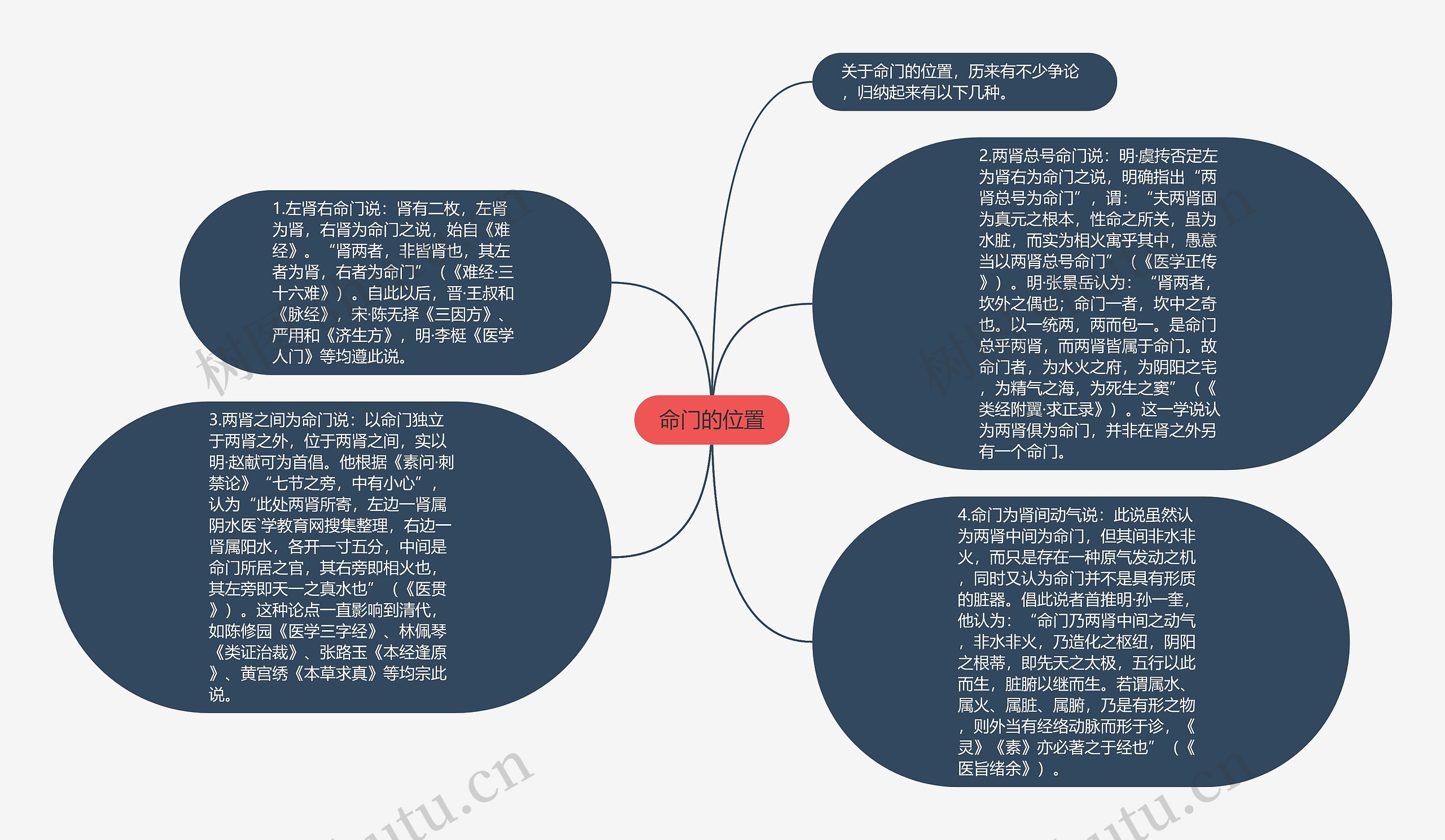 命门的位置