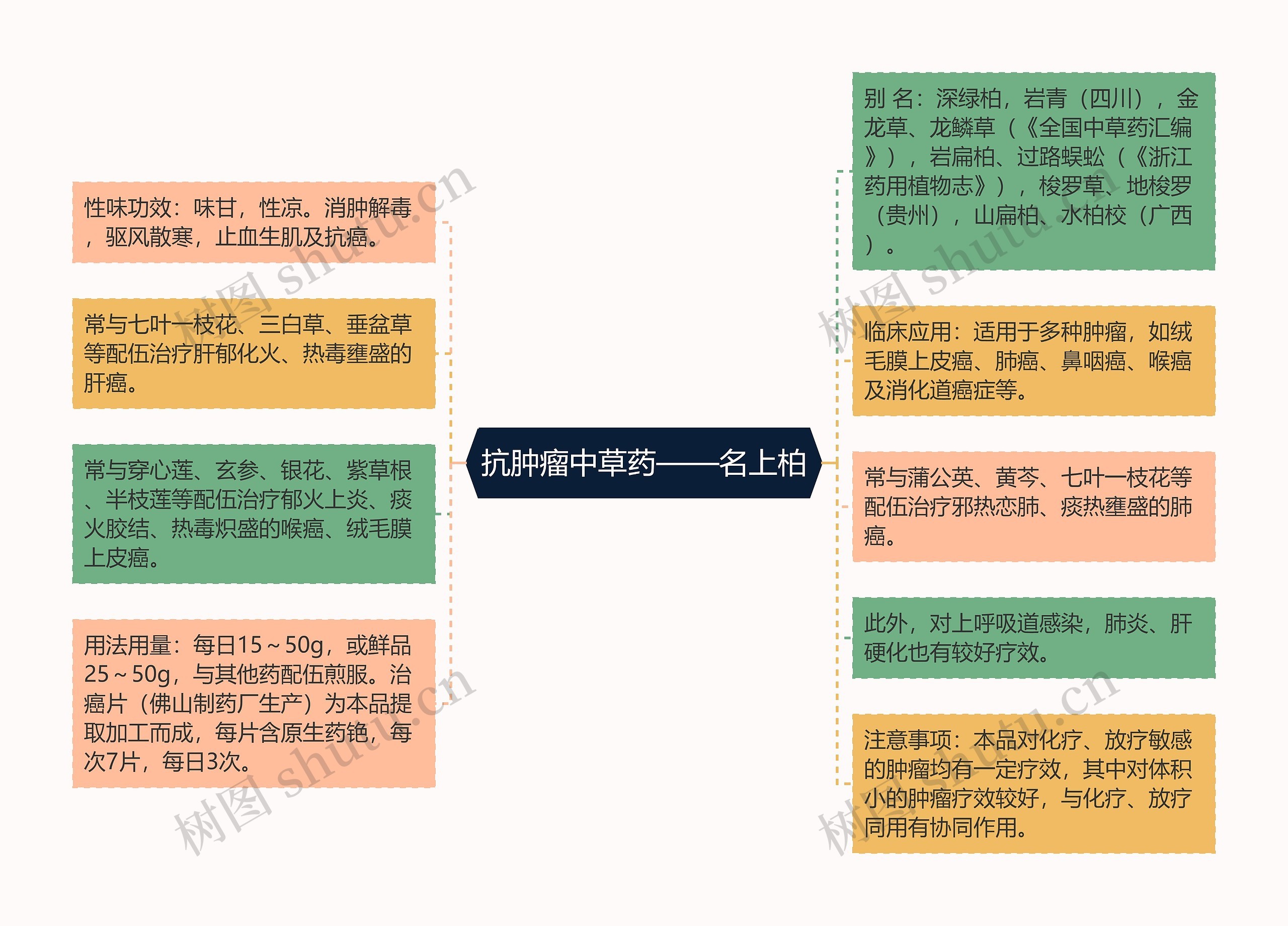 抗肿瘤中草药——名上柏思维导图