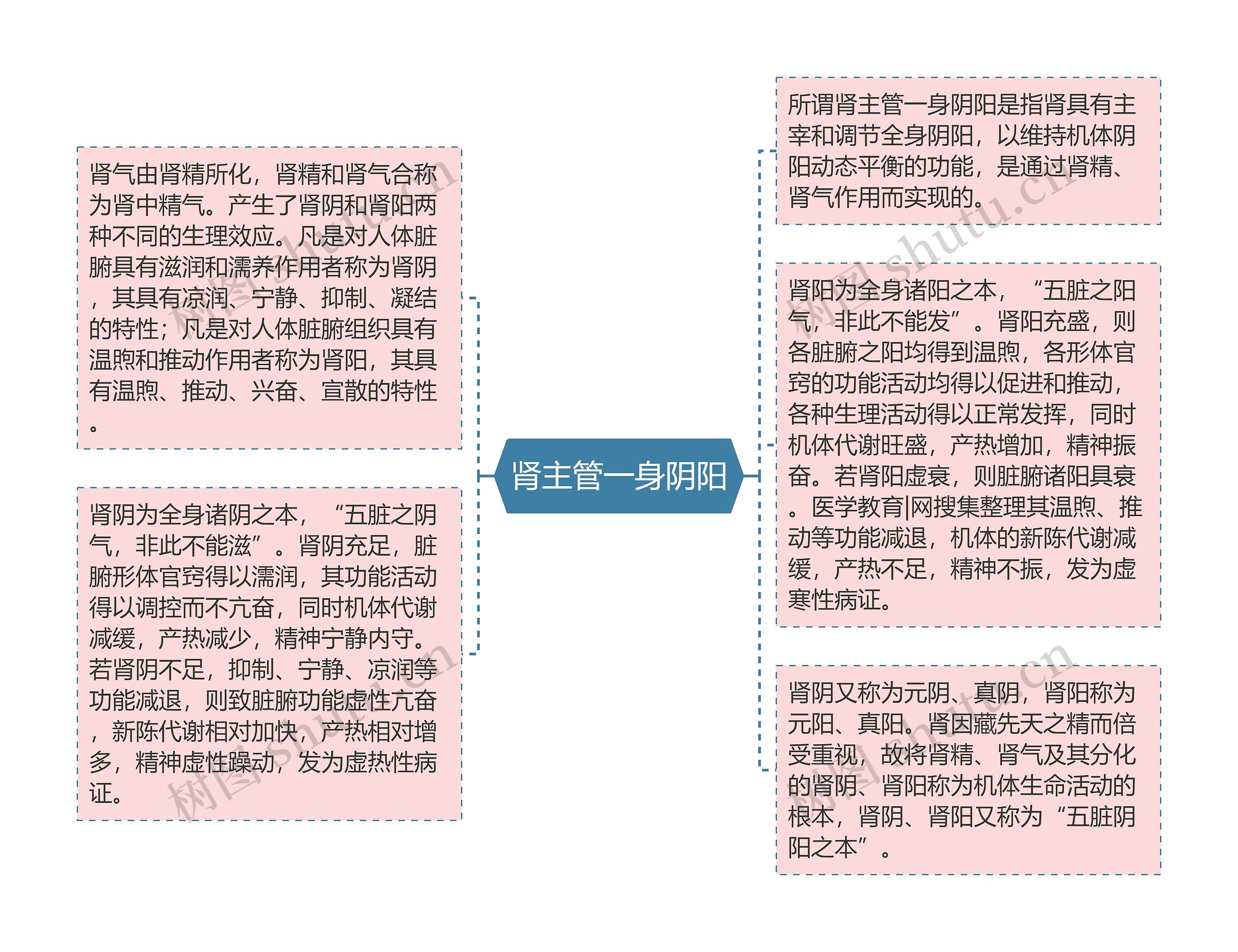 肾主管一身阴阳思维导图