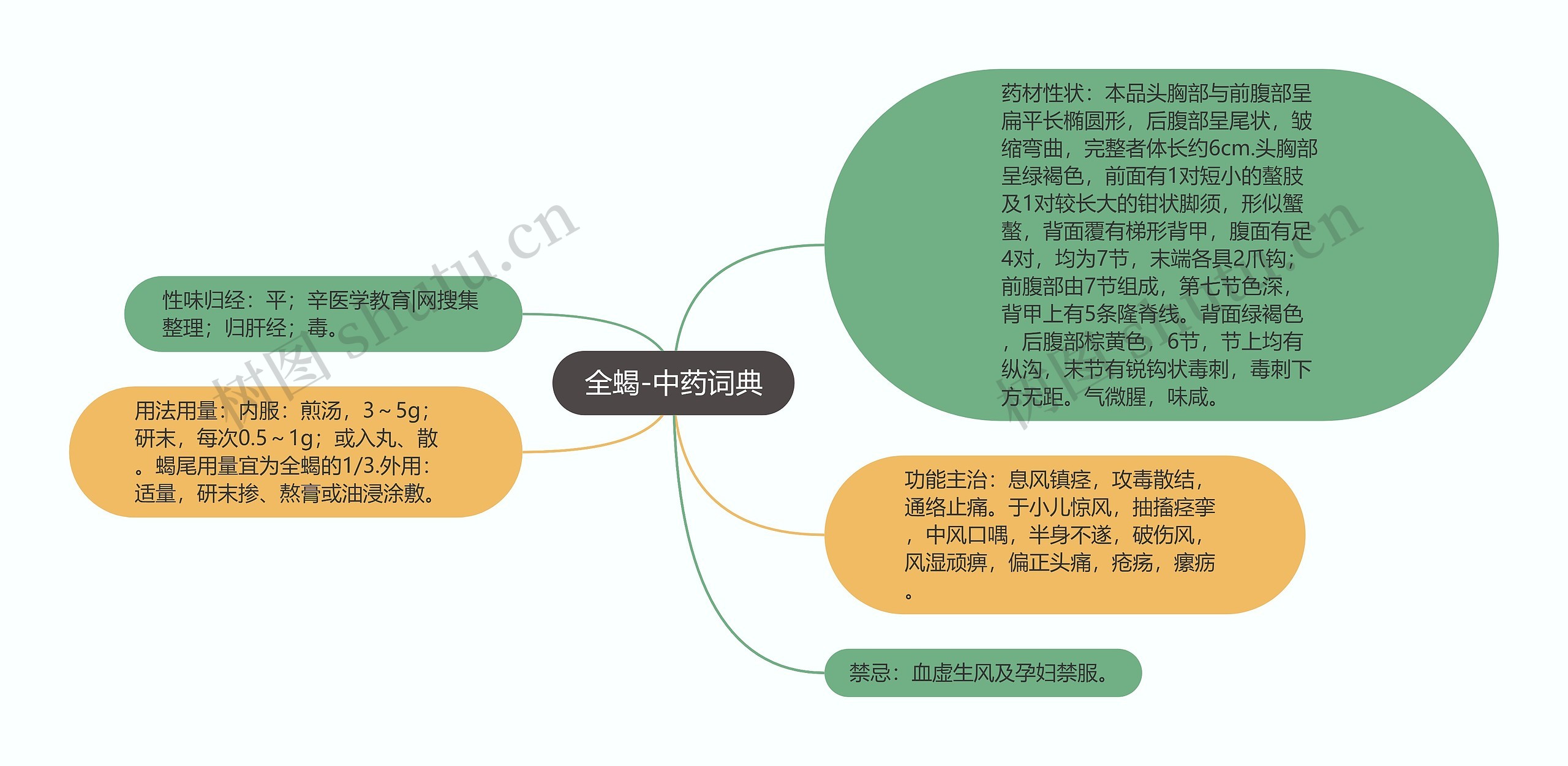 全蝎-中药词典思维导图