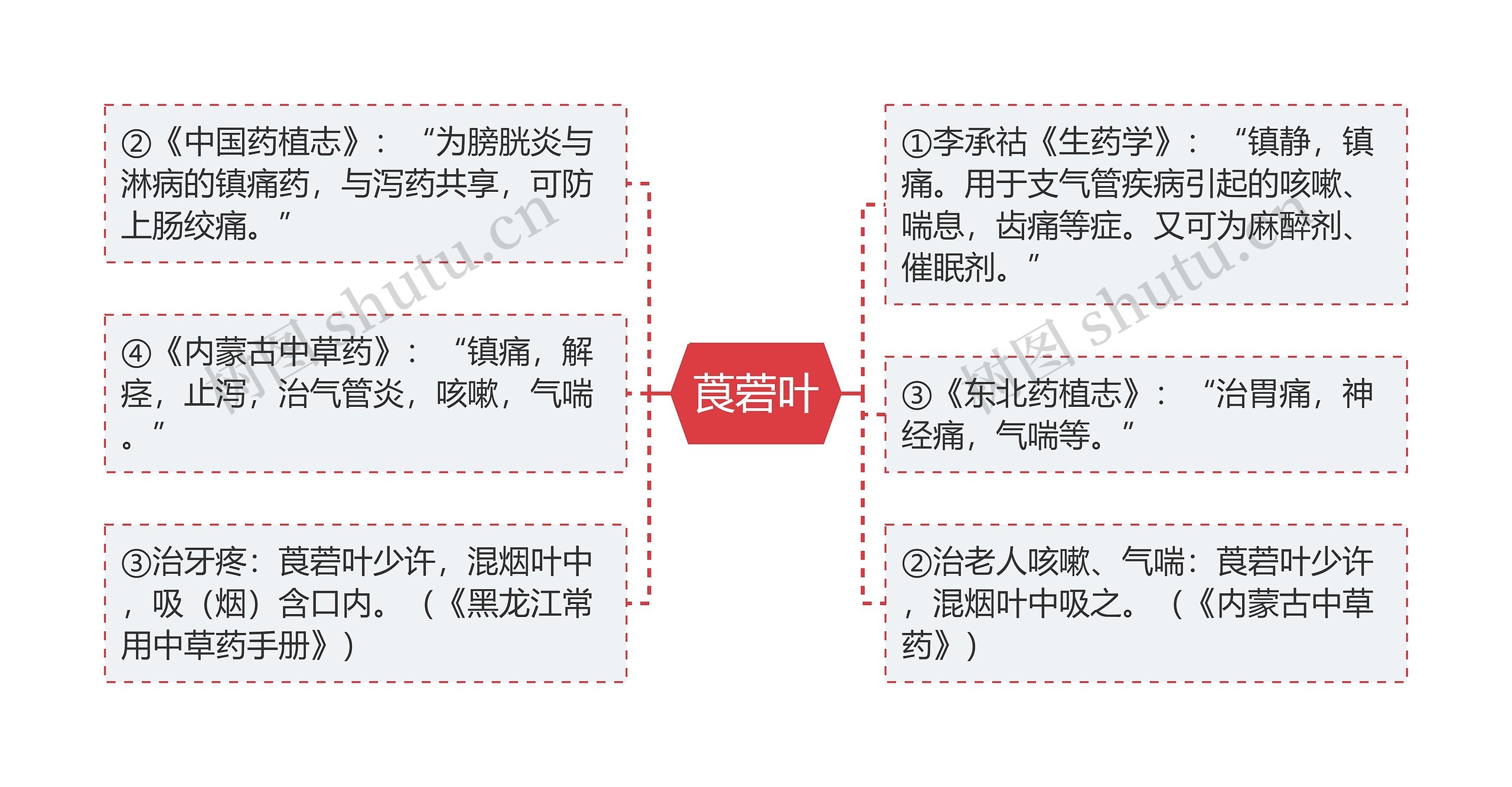 莨菪叶思维导图