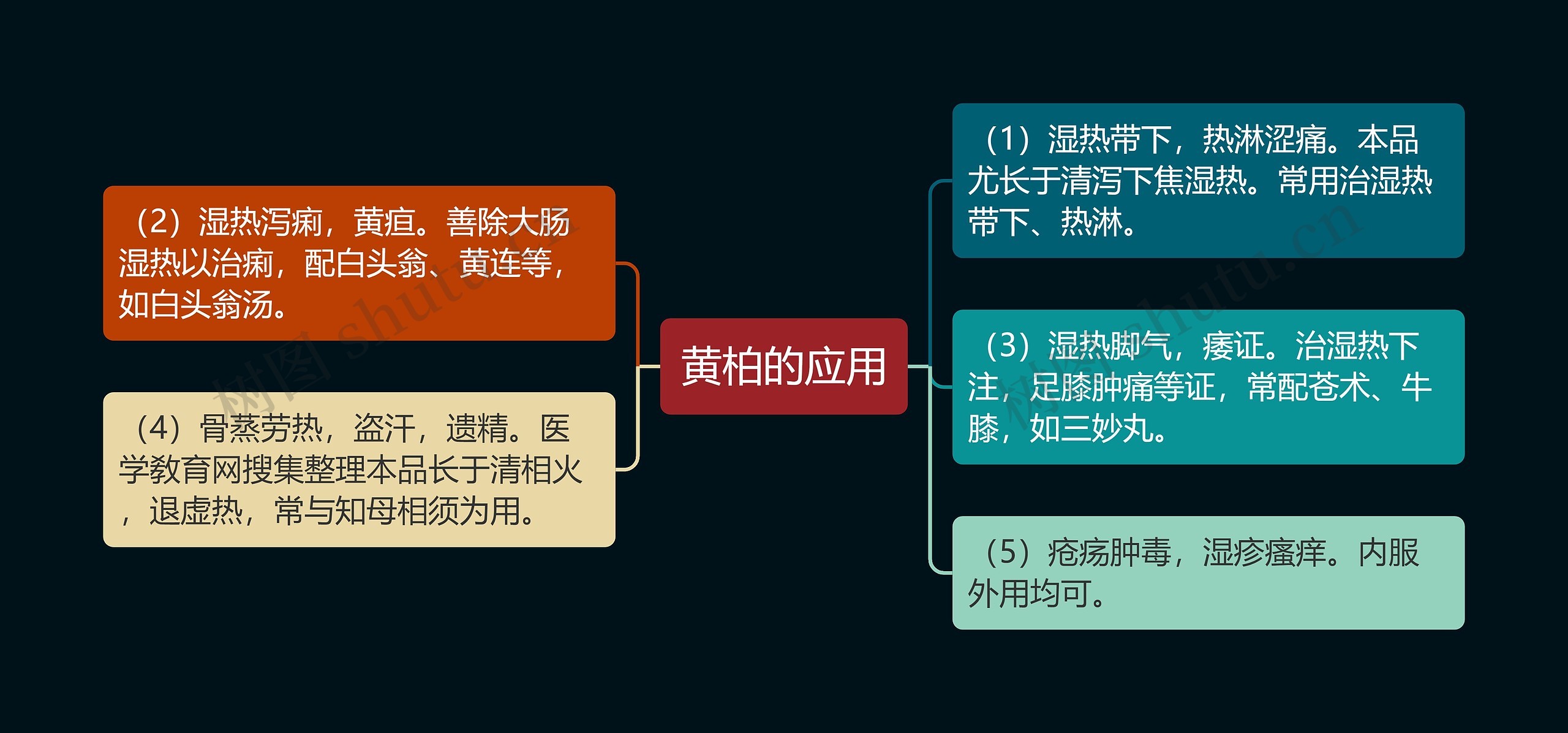 黄柏的应用 黄柏的应用