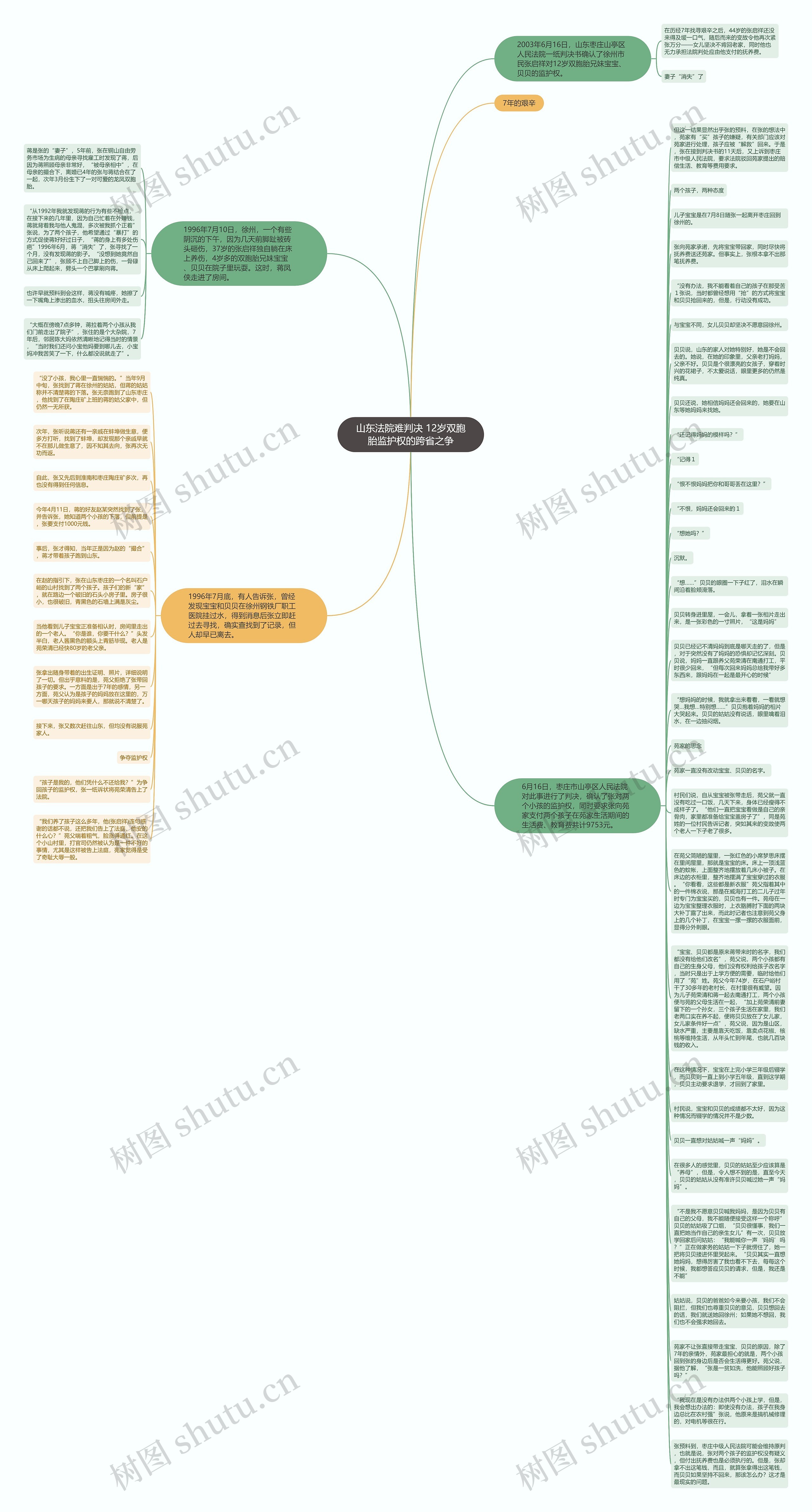 山东法院难判决 12岁双胞胎监护权的跨省之争思维导图