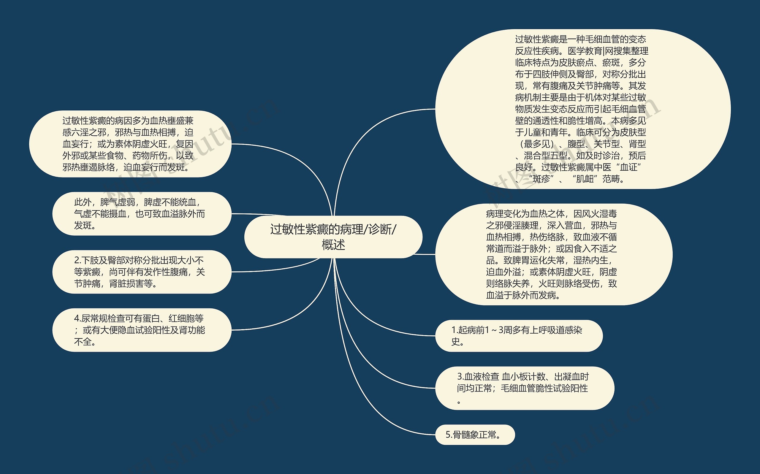 过敏性紫癜的病理/诊断/概述思维导图