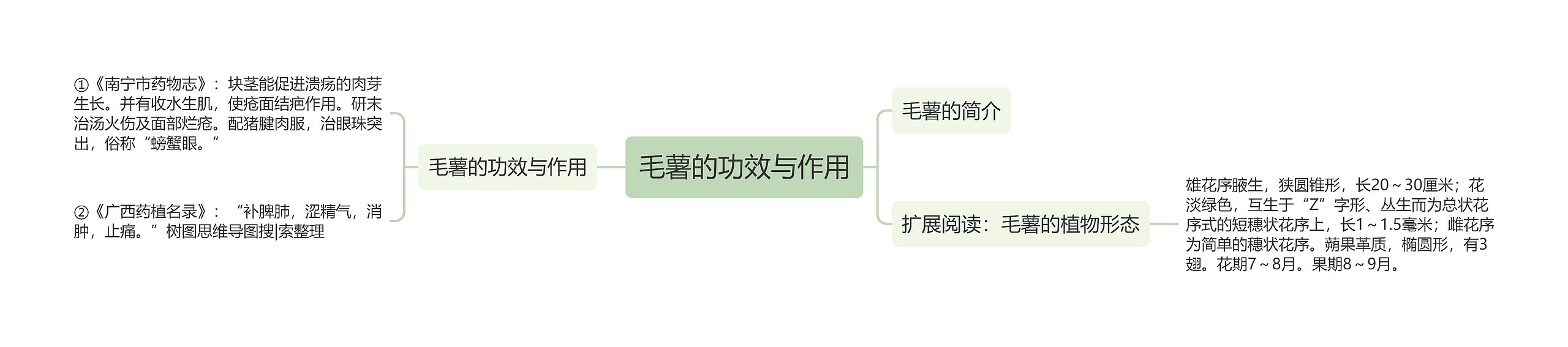 毛薯的功效与作用