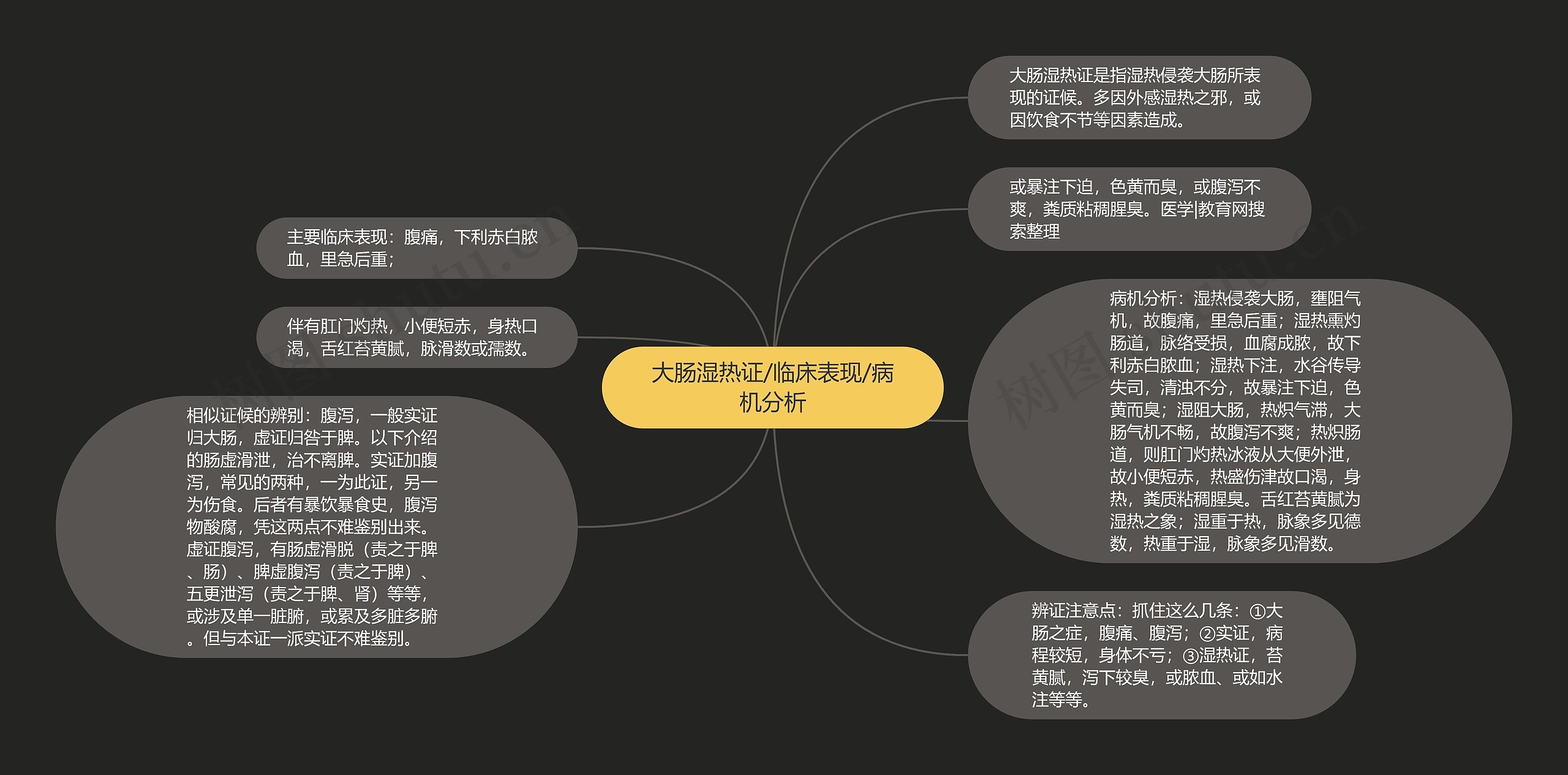 大肠湿热证/临床表现/病机分析 大肠湿热证/临床表现/病机分析